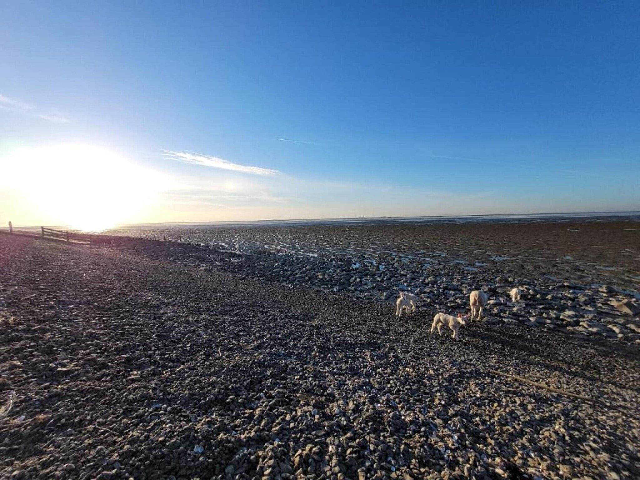 6-persoons bungalow 27 in Sondel - Foto 29 van 40