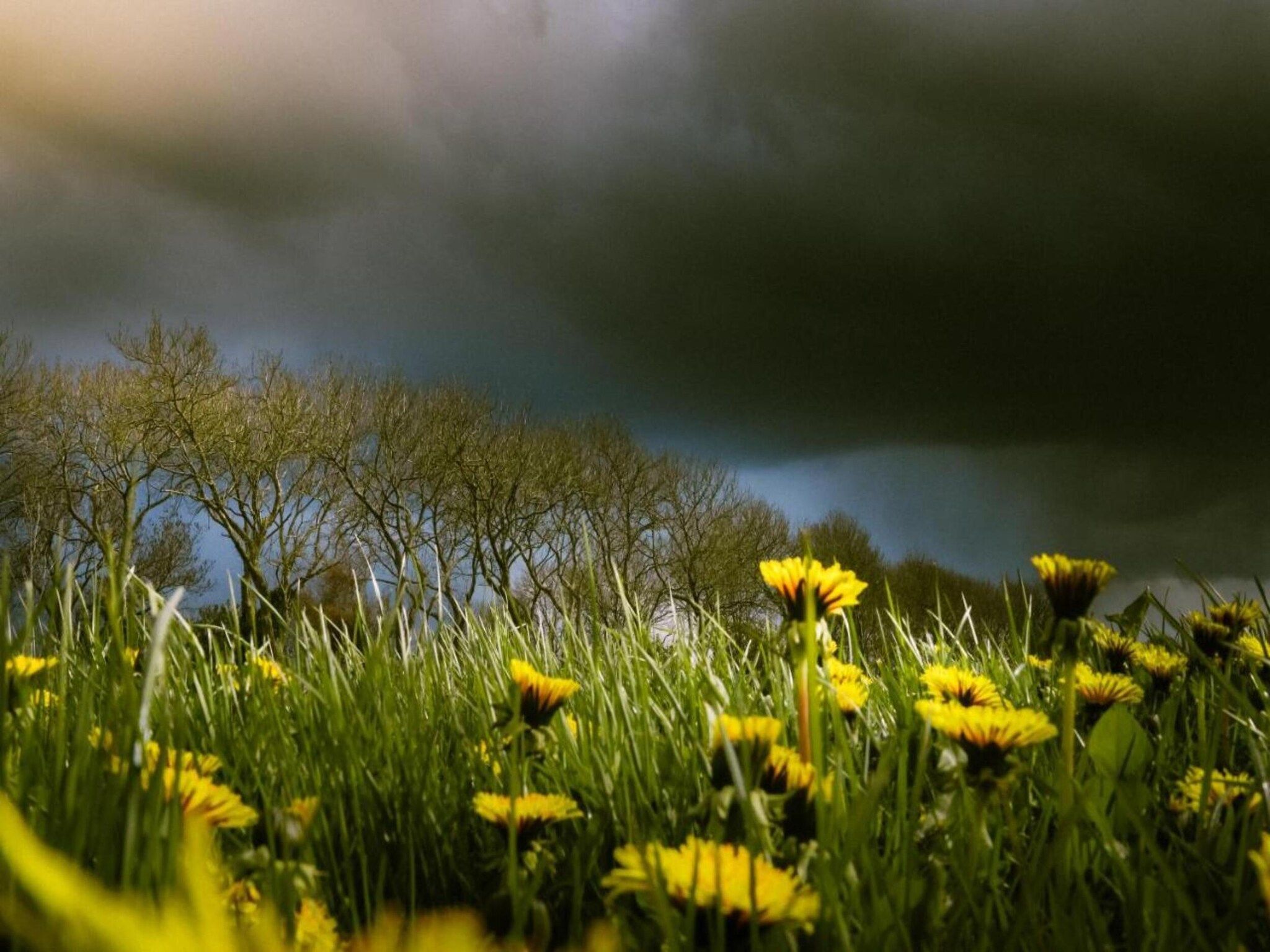 8 persoons villa in Sondel - Foto 23 van 40