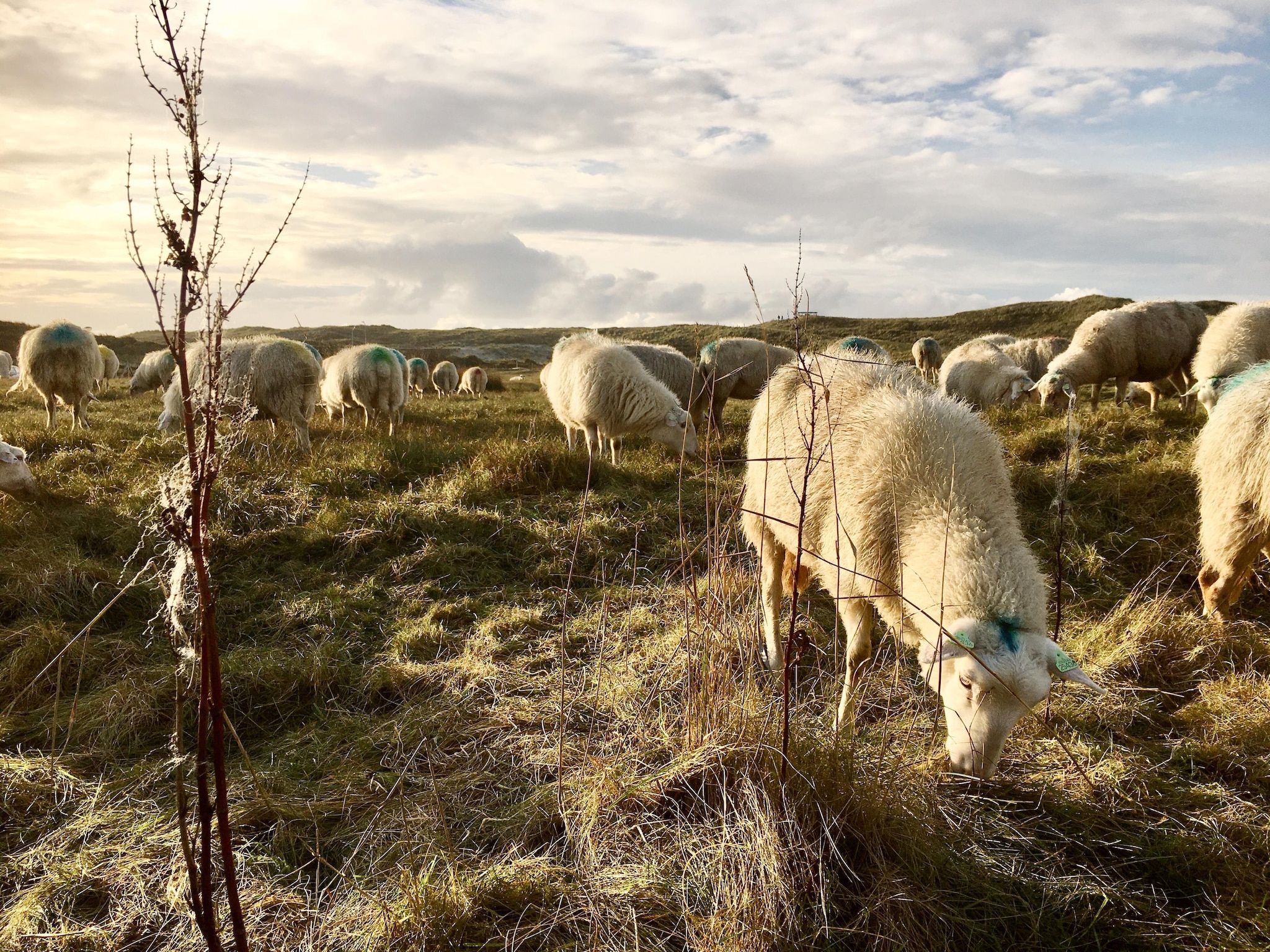 Cosy Hideout in Dirkshorn - Foto 27 van 40