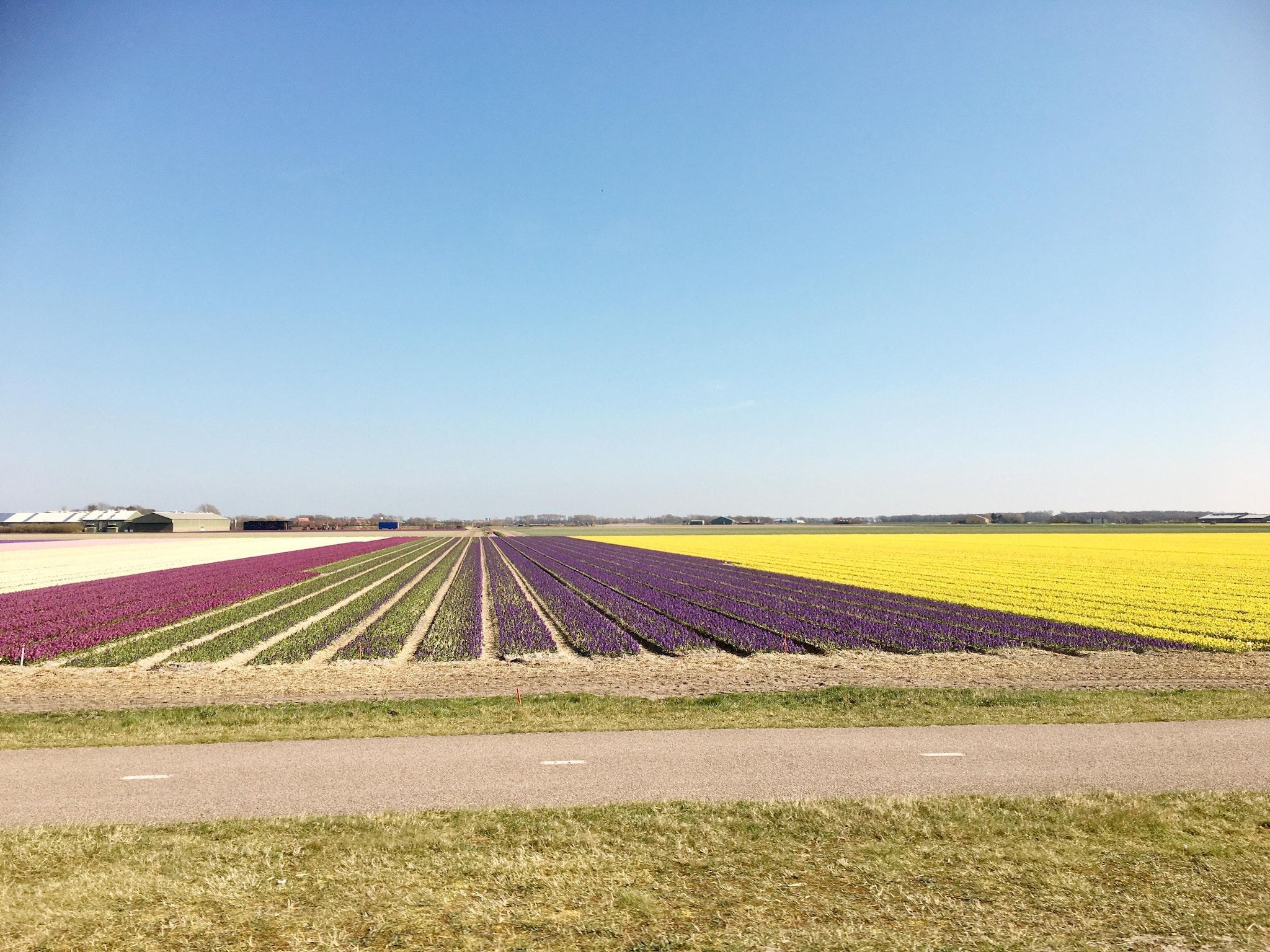 Cosy Hideout in Dirkshorn - Foto 29 van 40