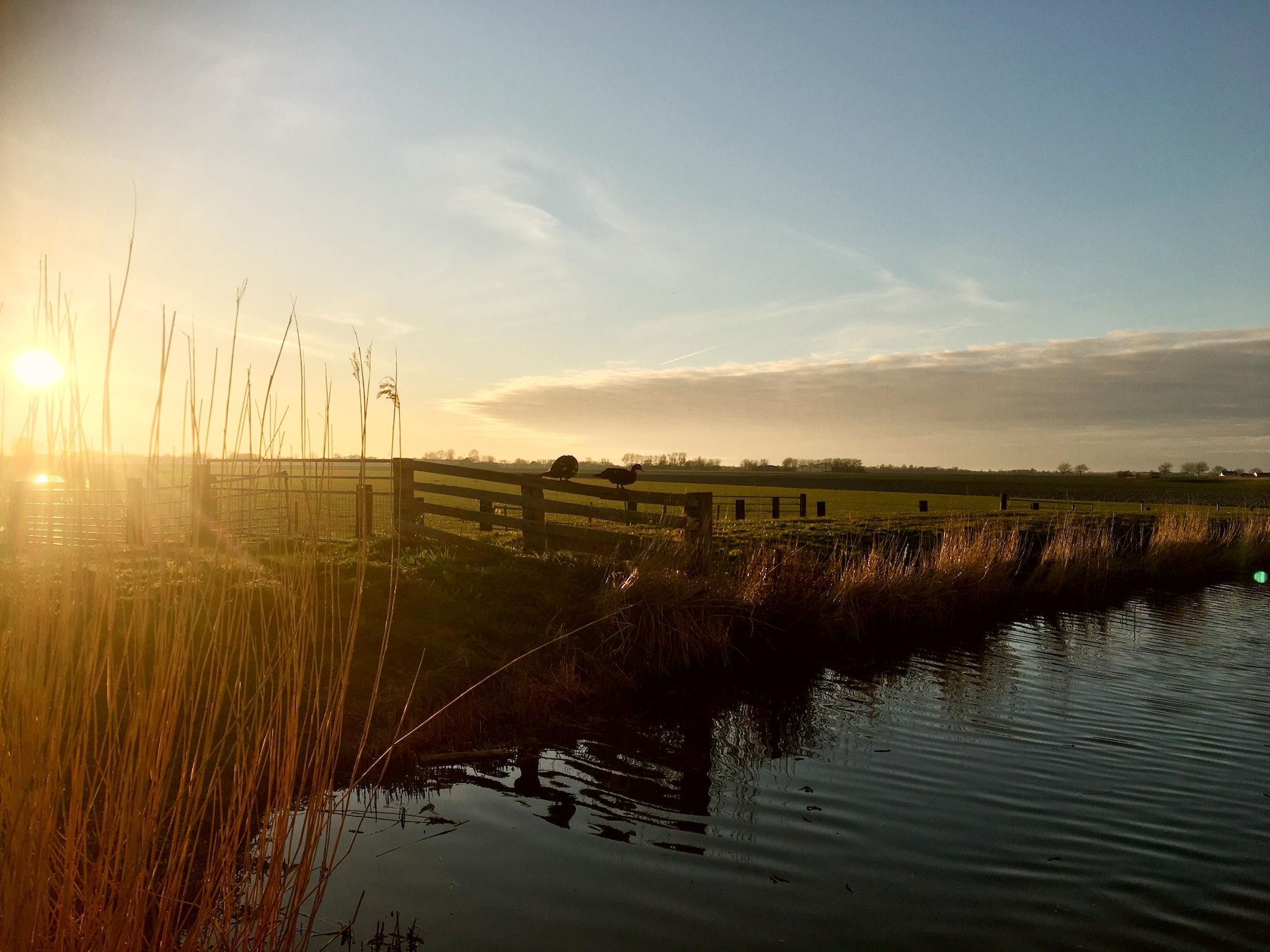 Cosy Hideout in Dirkshorn - Foto 30 van 40