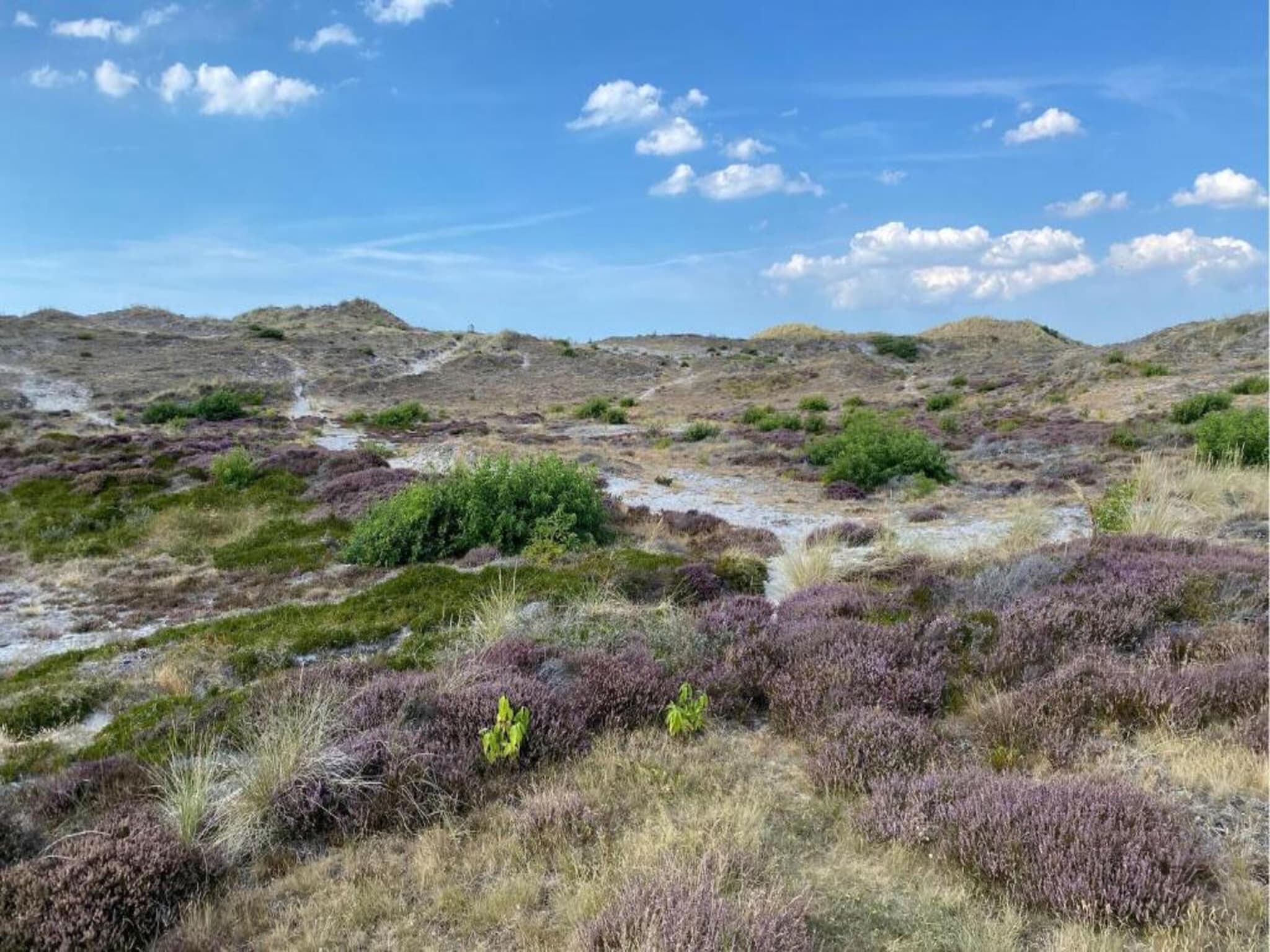 Cosy Hideout in Dirkshorn - Foto 34 van 40