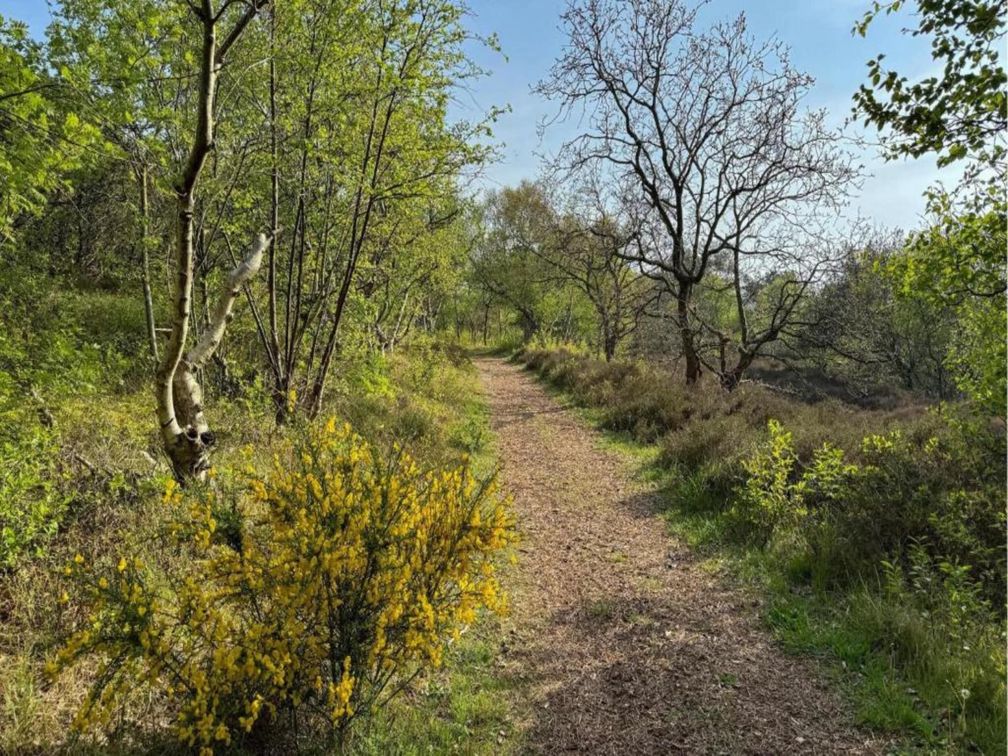 Cosy Hideout in Dirkshorn - Foto 35 van 40