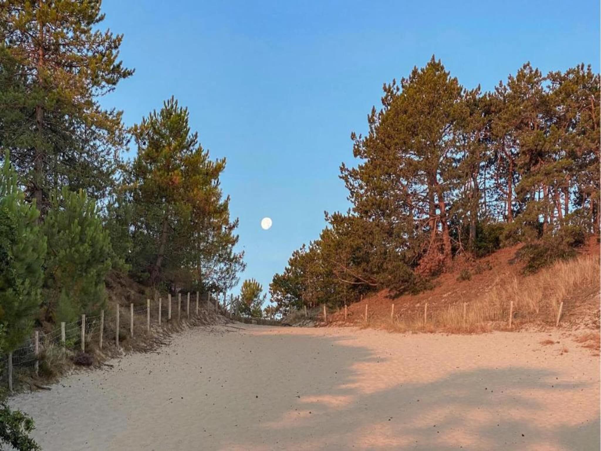 Cosy Hideout in Dirkshorn - Foto 36 van 40