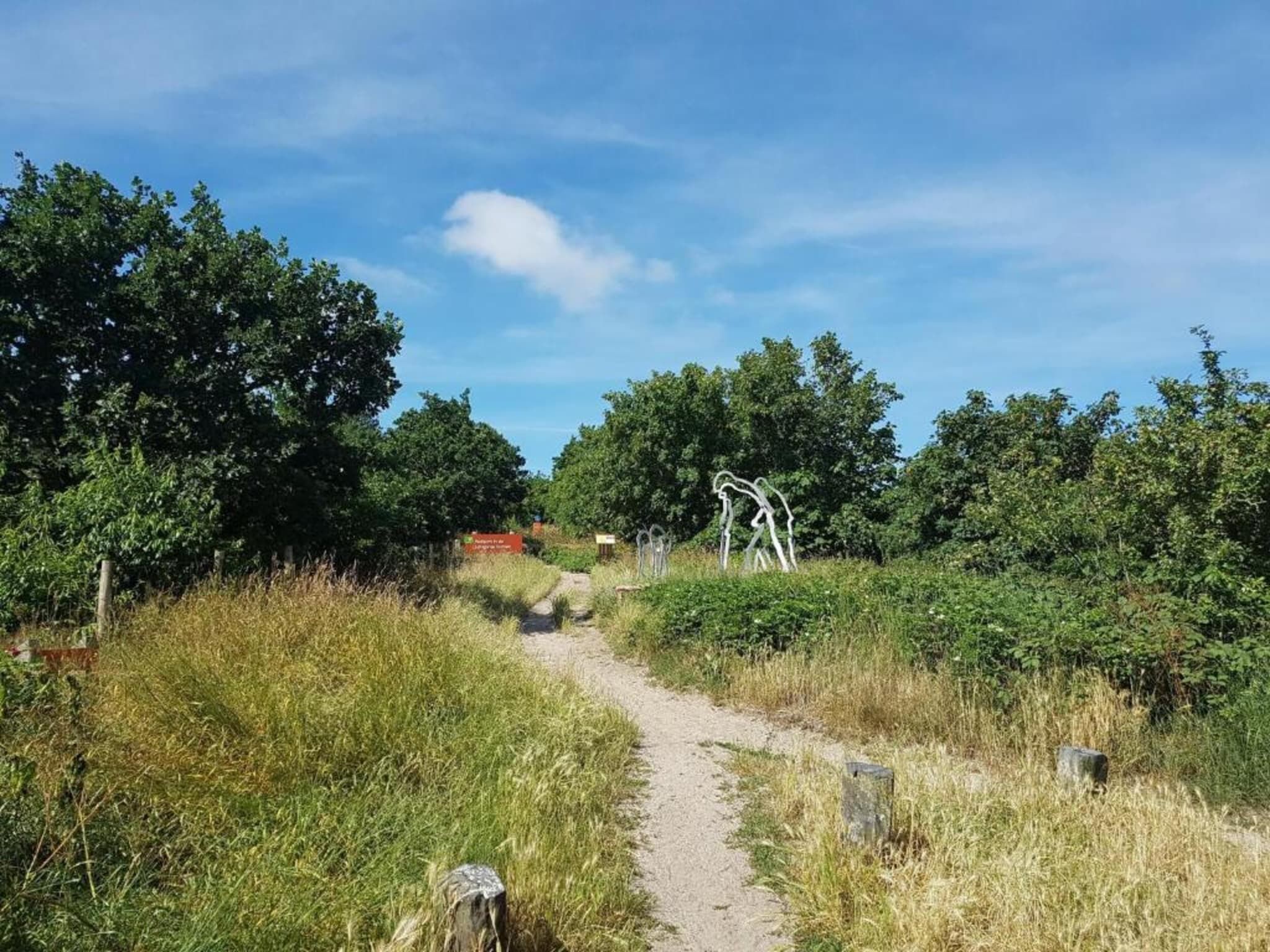 Cosy Hideout in Dirkshorn - Foto 38 van 40