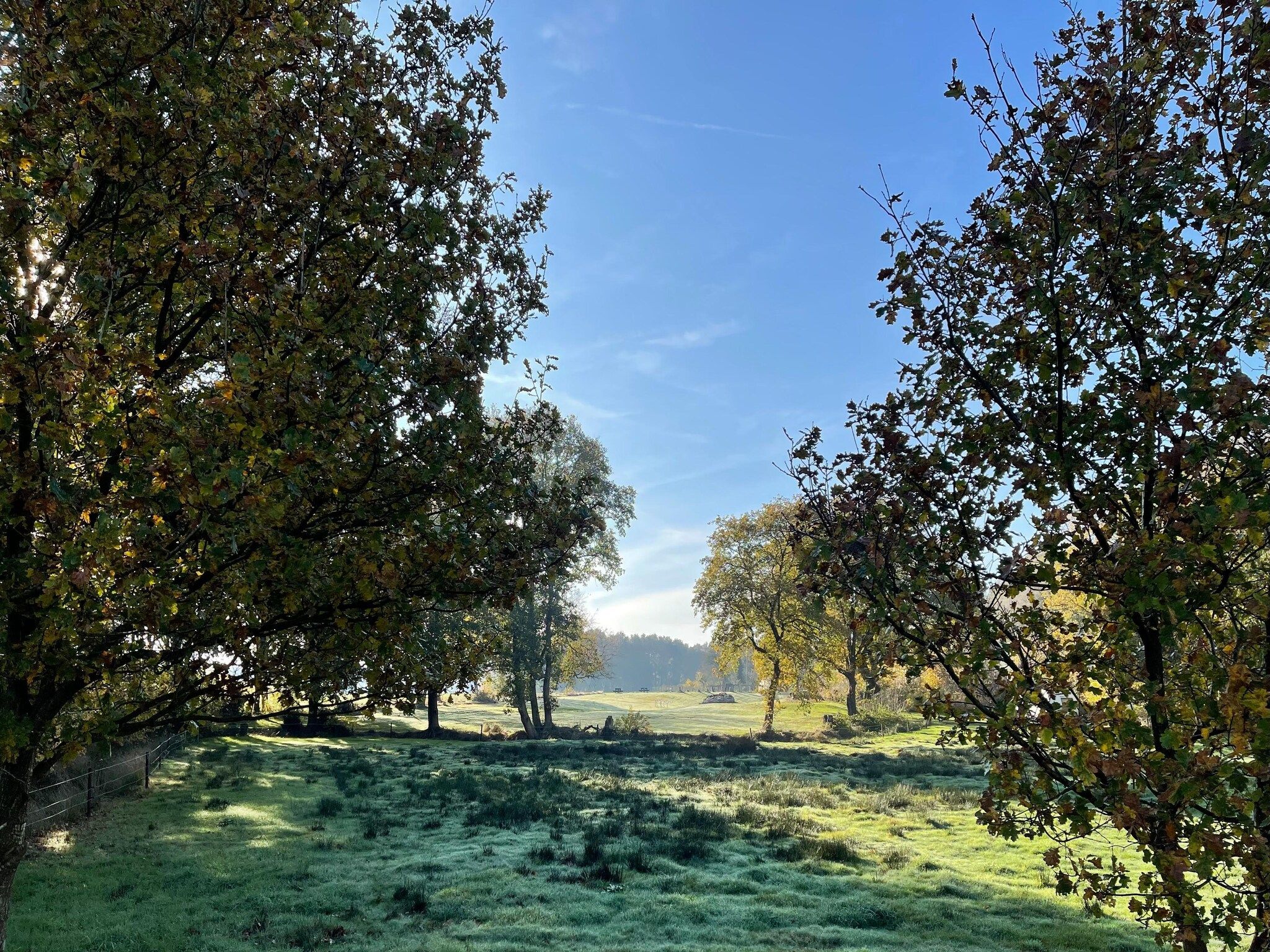 De tuin van Landhuis Hezenes in Diever