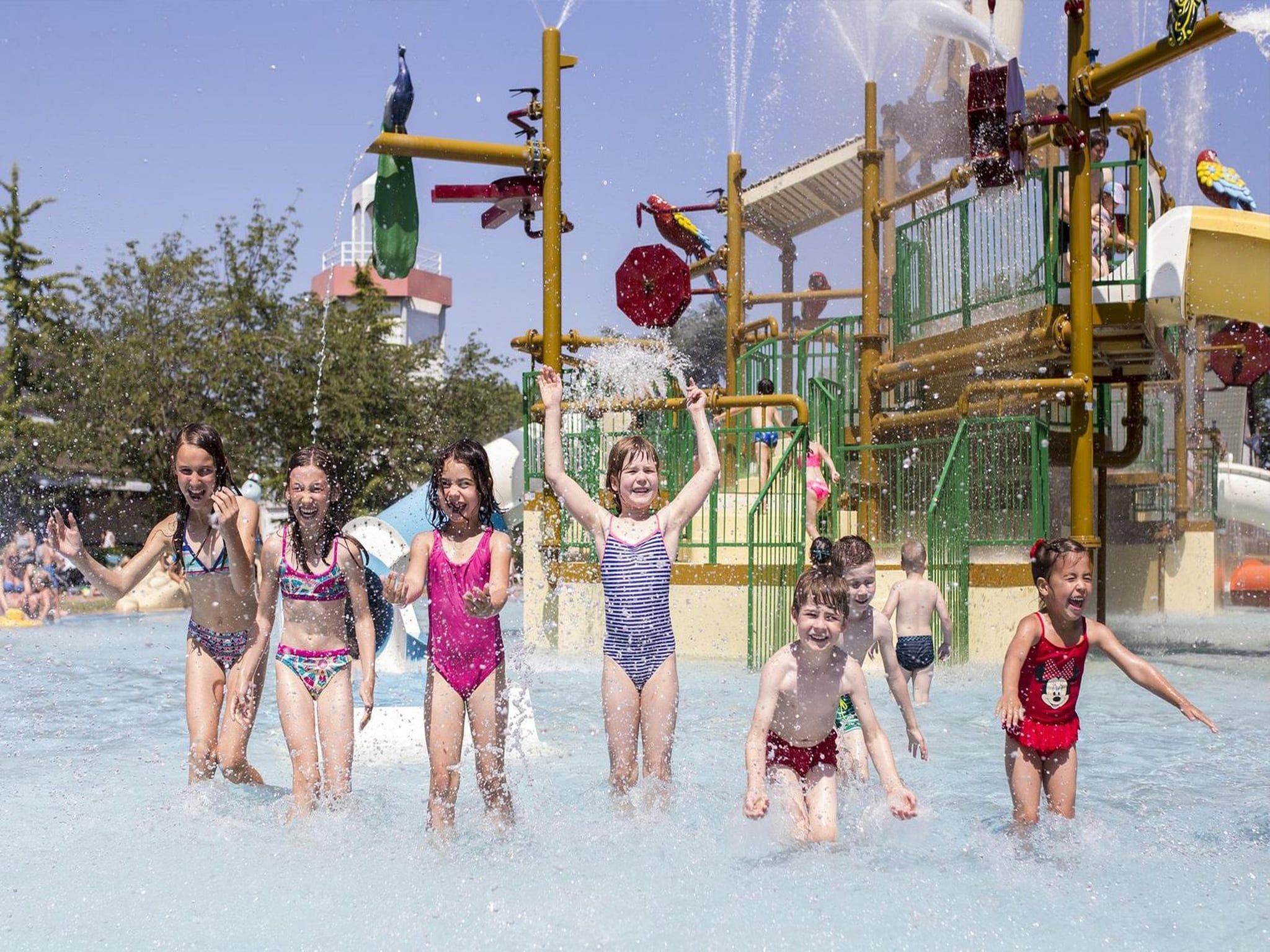 Schoneveld 40 Zeester Breskens in Breskens - Foto 22 van 22