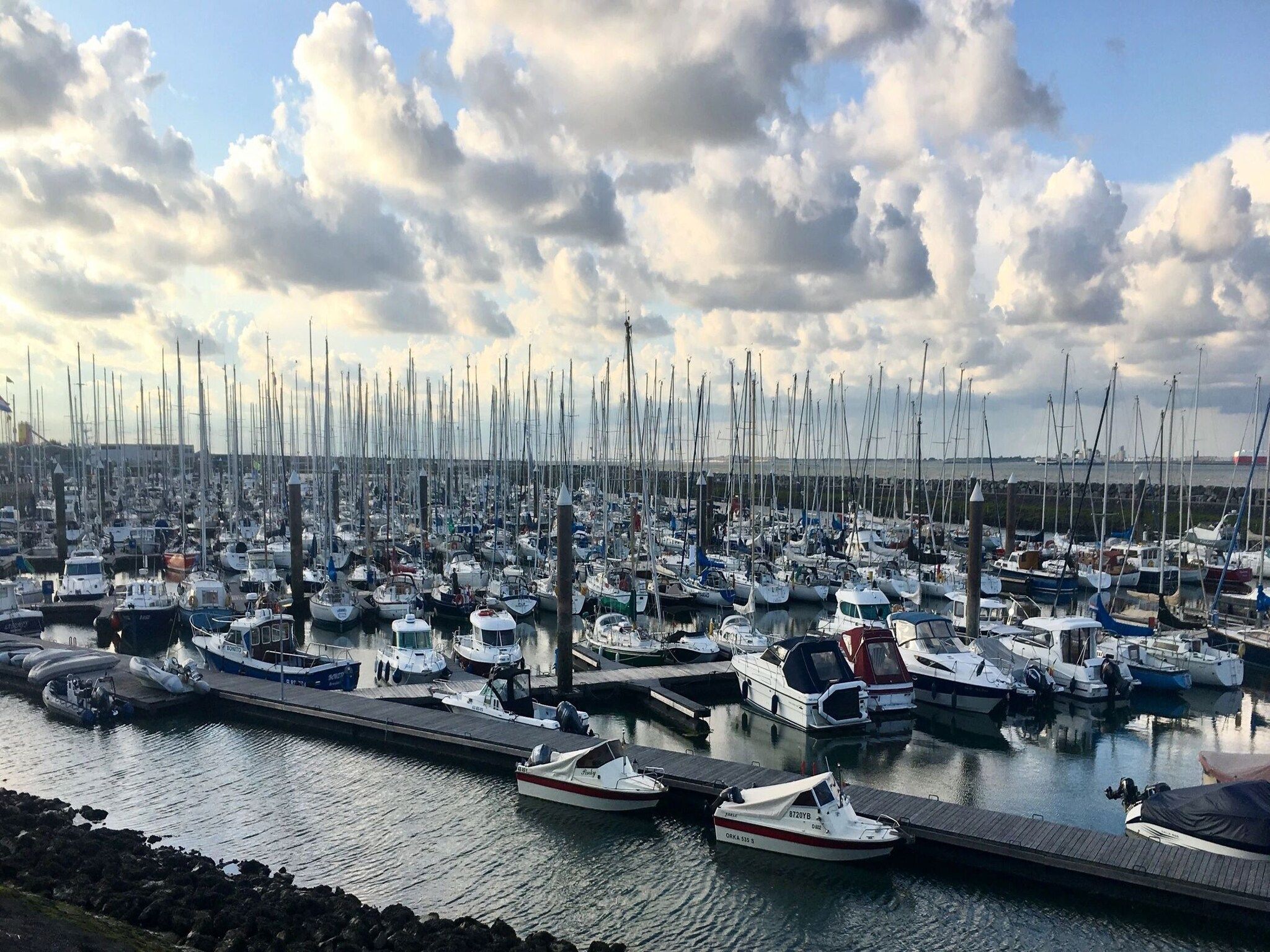 De omgeving van Schoneveld 132 Zeemeeuw Breskens in Breskens