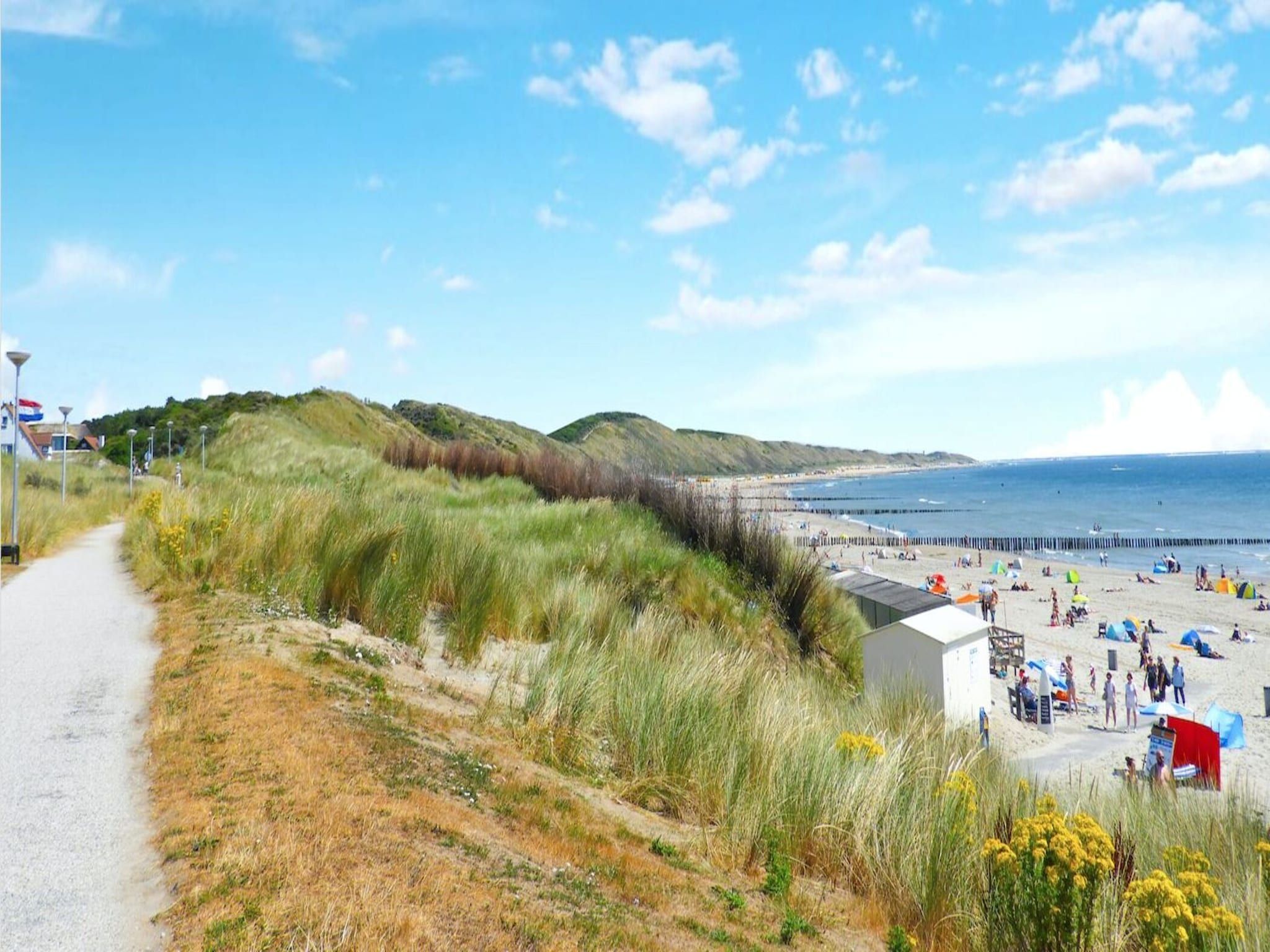 De omgeving van Schoneveld 132 Zeemeeuw Breskens in Breskens