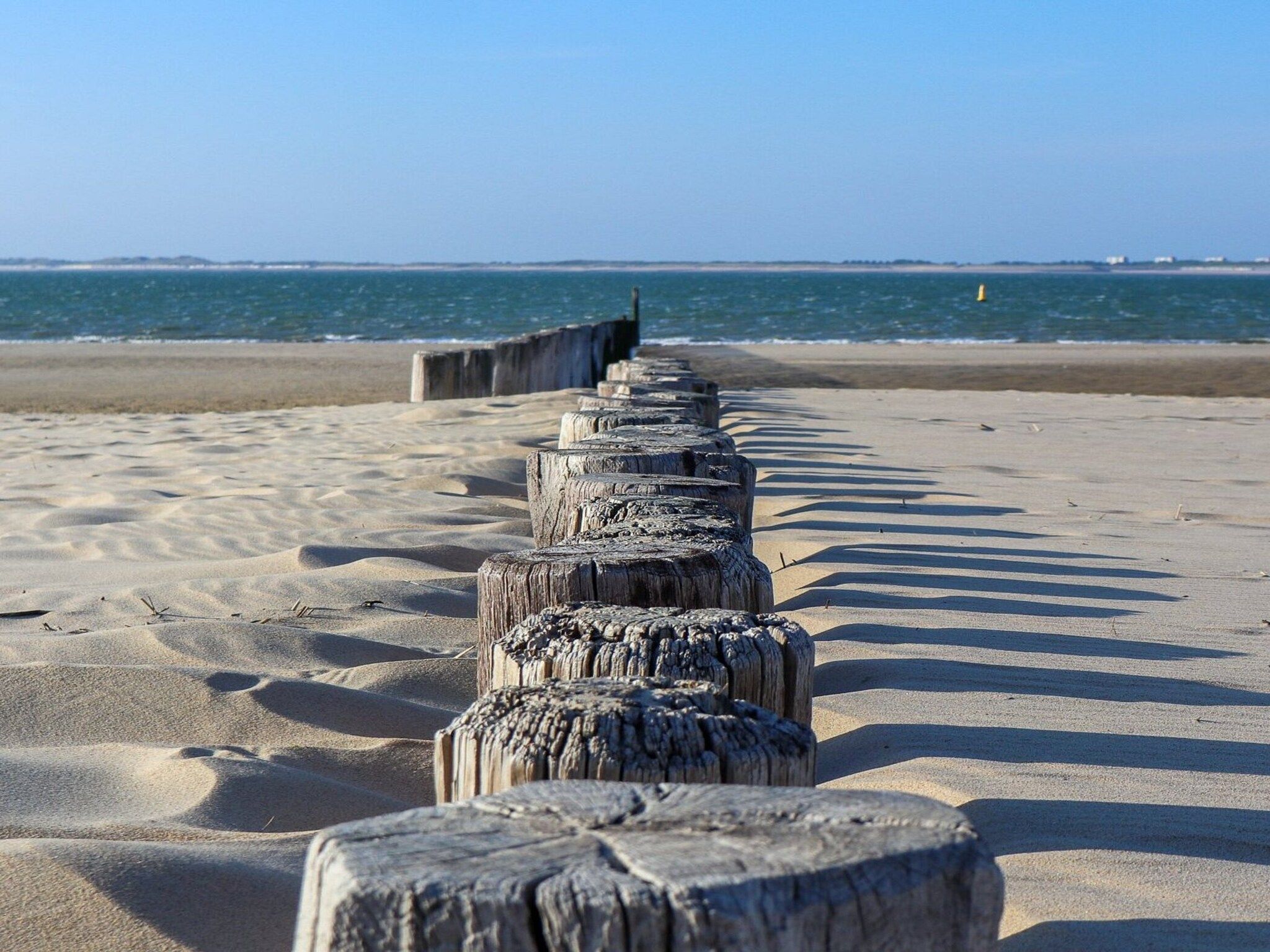 De omgeving van Schoneveld 132 Zeemeeuw Breskens in Breskens