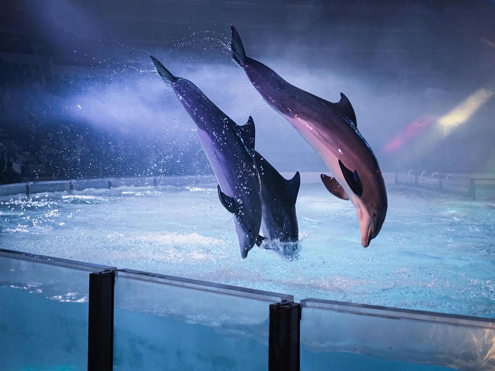 Schoneveld 132 Zeemeeuw Breskens in Breskens - Foto 28 van 37