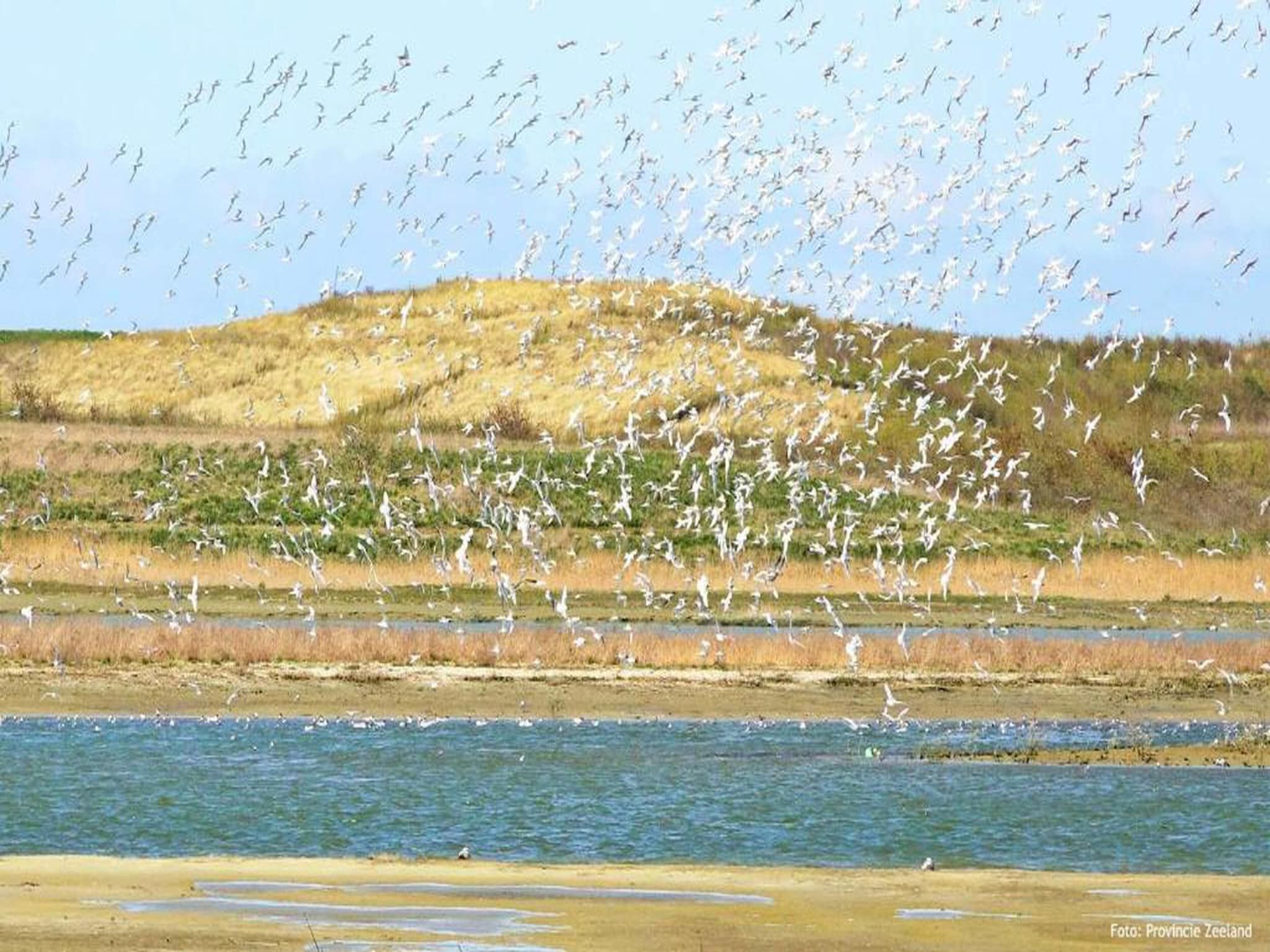 Schoneveld 369 Strandparel Breskens in Breskens - Foto 37 van 38