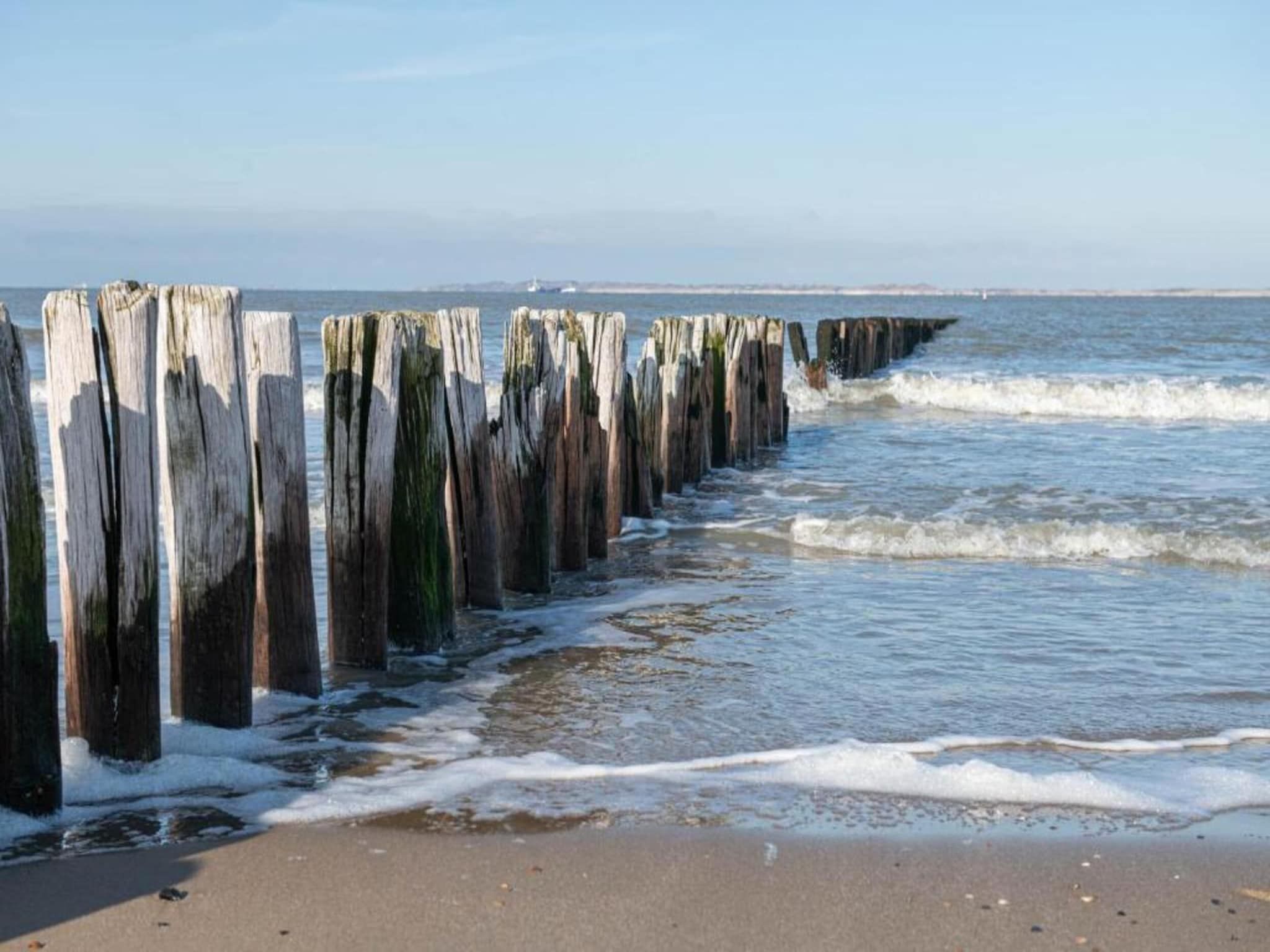 Schoneveld 146 Zeemeeuw Breskens in Breskens - Foto 35 van 38