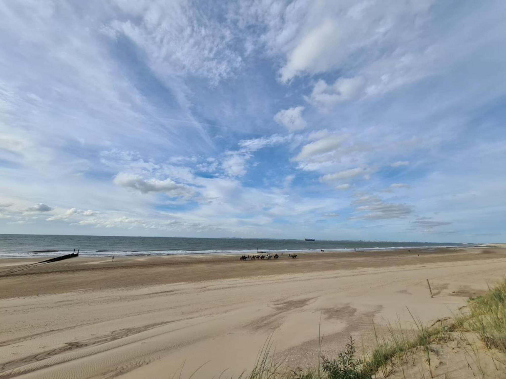 Schoneveld 146 Zeemeeuw Breskens in Breskens - Foto 33 van 38