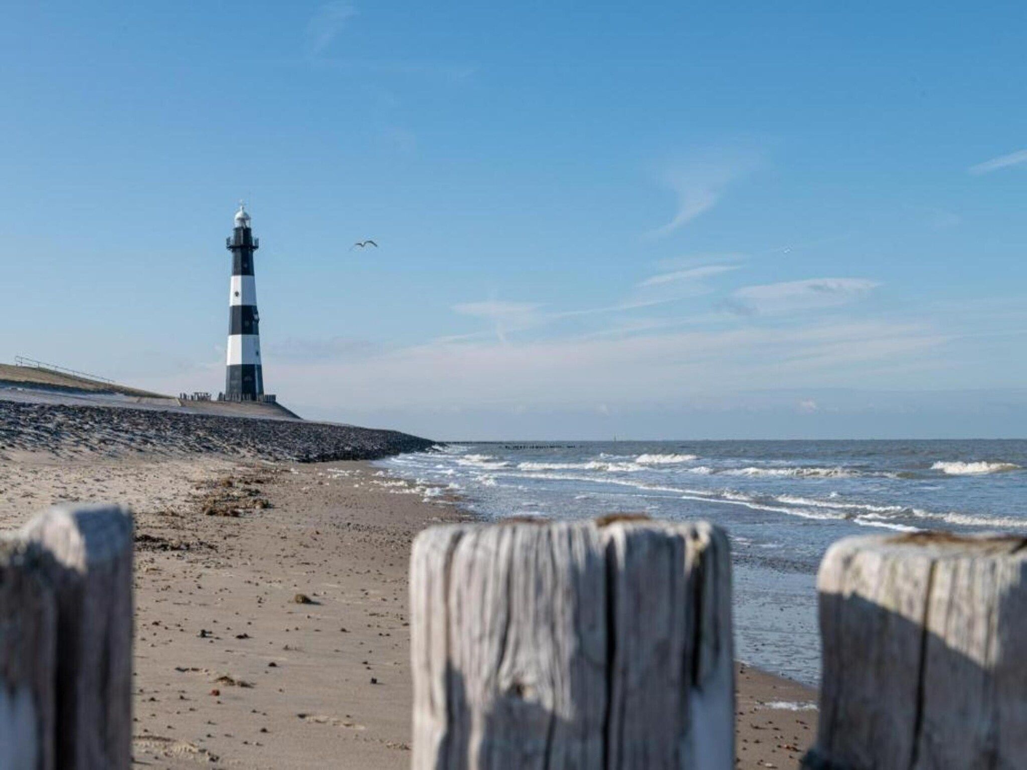 Schoneveld 146 Zeemeeuw Breskens in Breskens - Foto 36 van 38