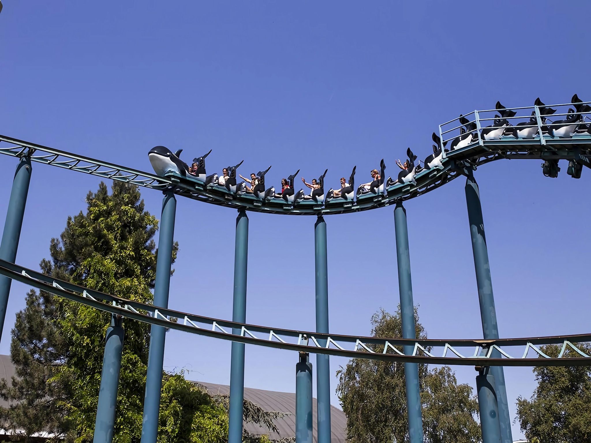 Schoneveld 176 Zeemeeuw Breskens in Breskens - Foto 17 van 20