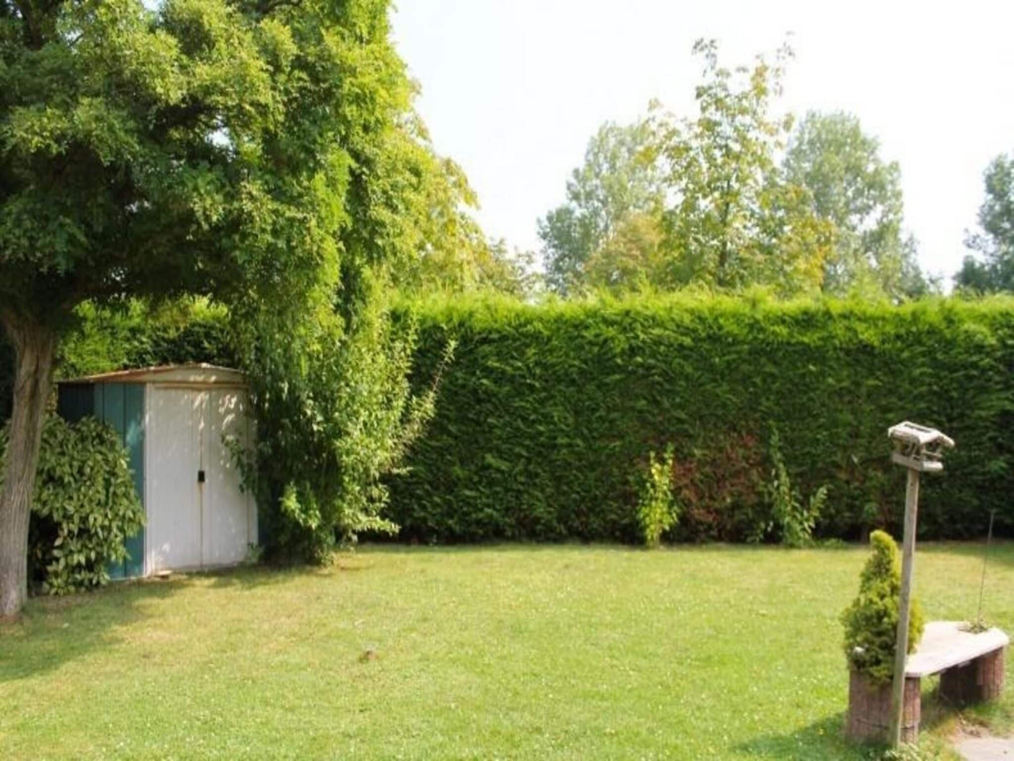 De tuin van Schoneveld 183 Duinroos Breskens in Breskens