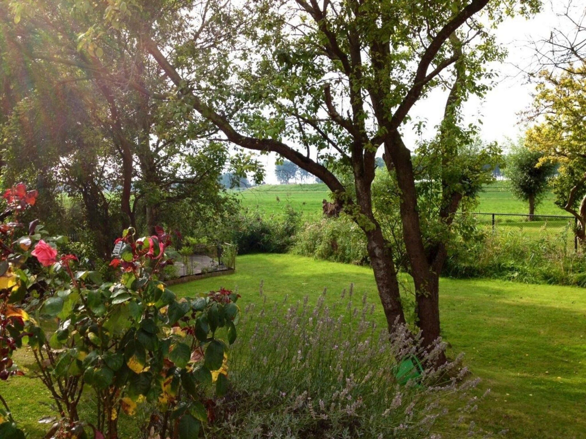 Nummer Één 26a Hoofdplaat in Hoofdplaat - Foto 40 van 40