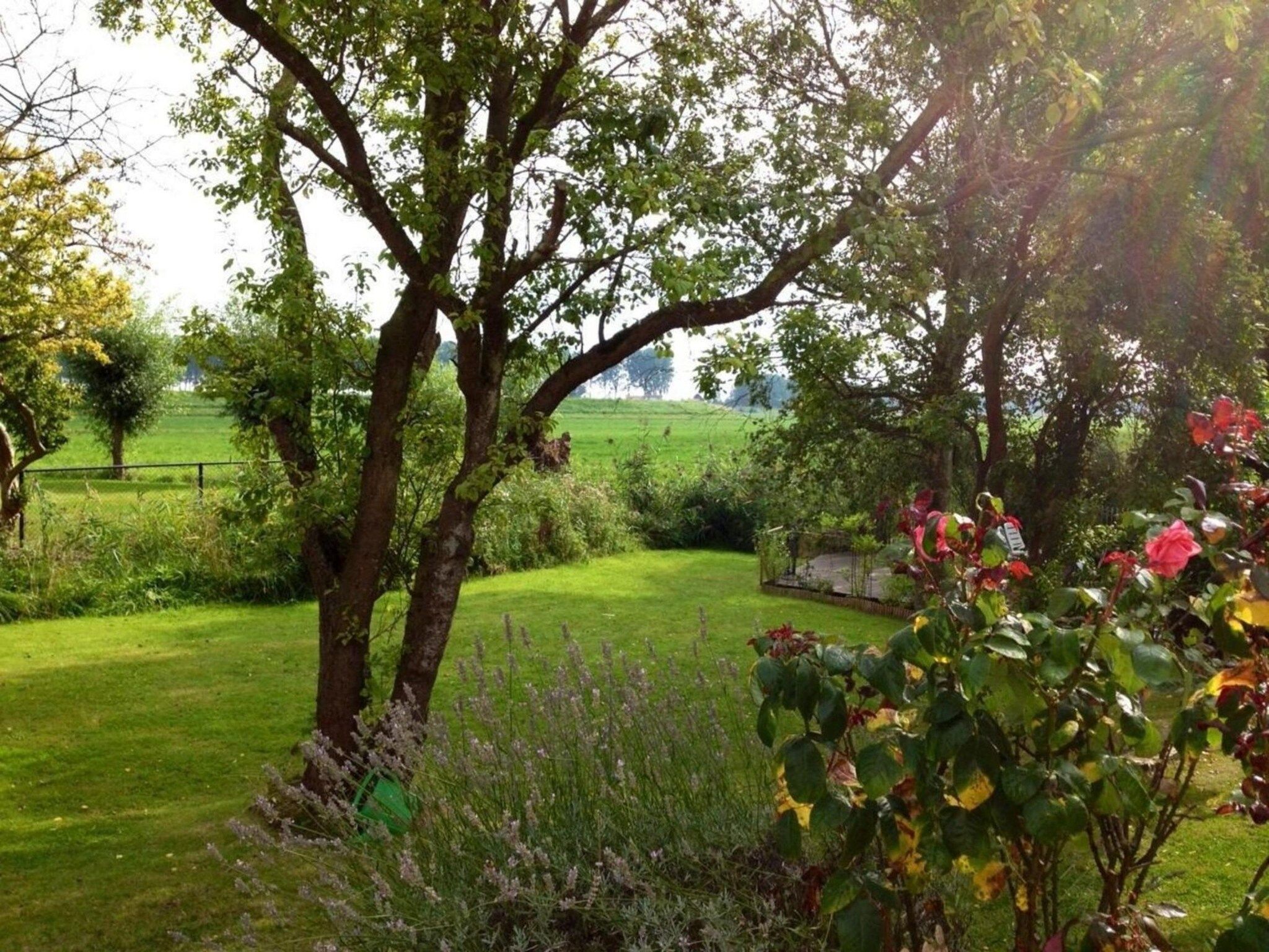 De tuin van Nummer Één 26a Hoofdplaat in Hoofdplaat