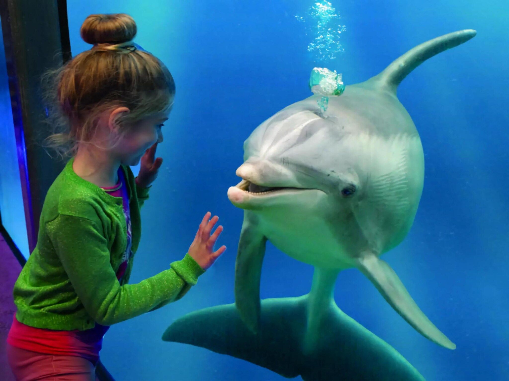 De omgeving van Scheldeveste 119 Schelde Breskens in Breskens