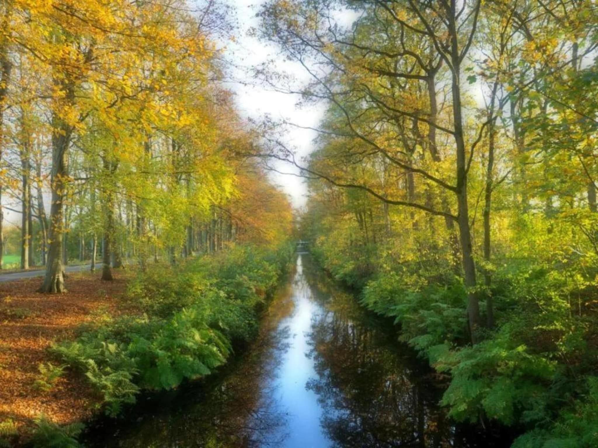 De omgeving van Docklodge 16 in Delfstrahuizen