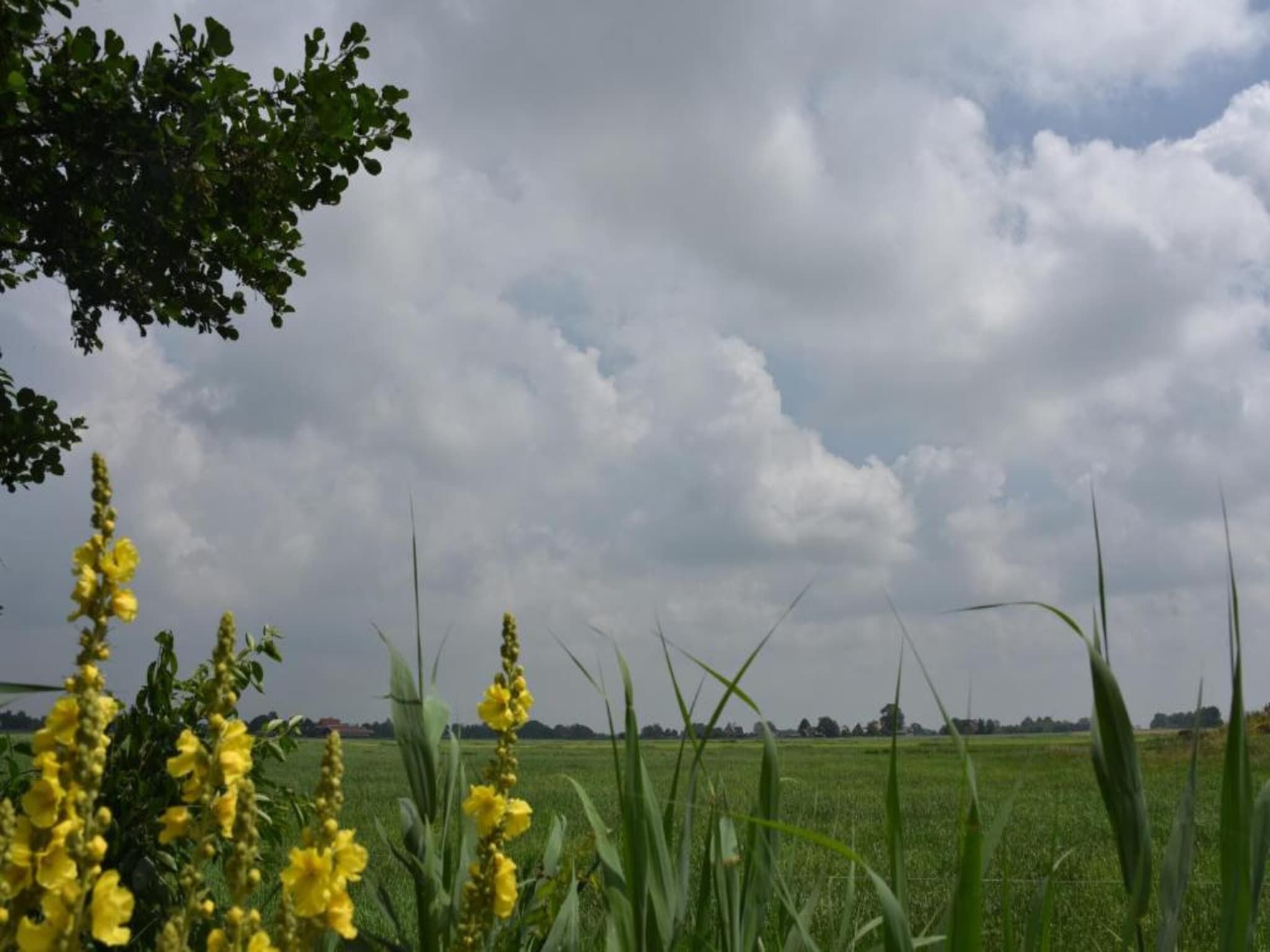 Docklodge 18 in Delfstrahuizen - Foto 25 van 40