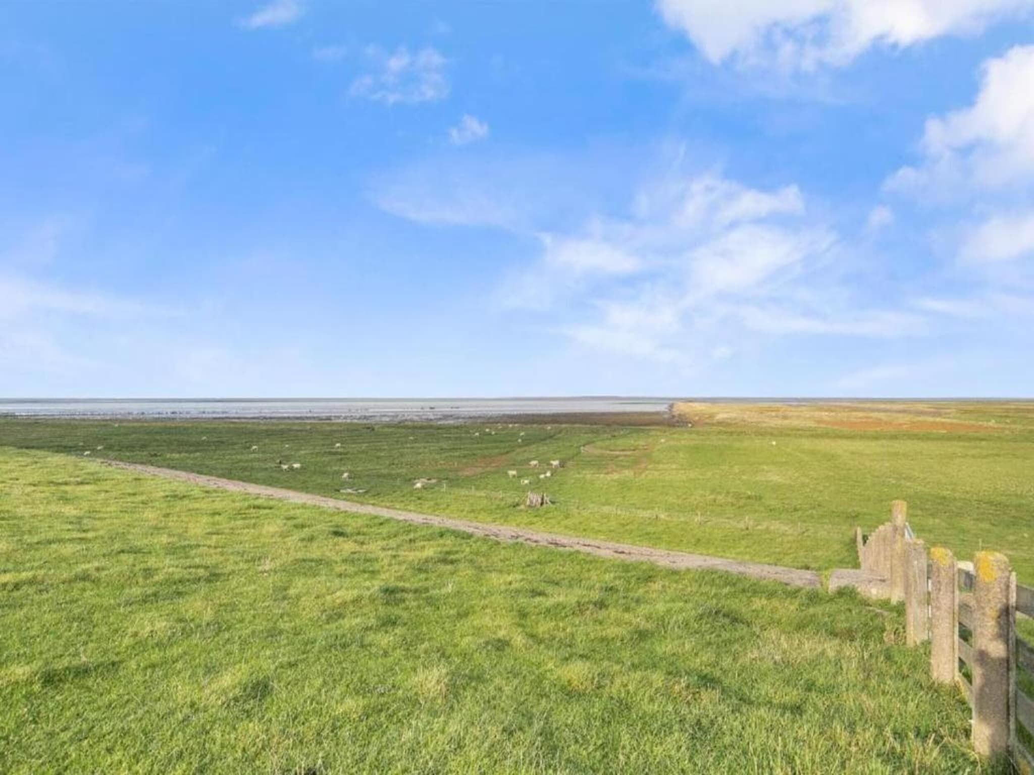 De omgeving van Docklodge 46 in Delfstrahuizen