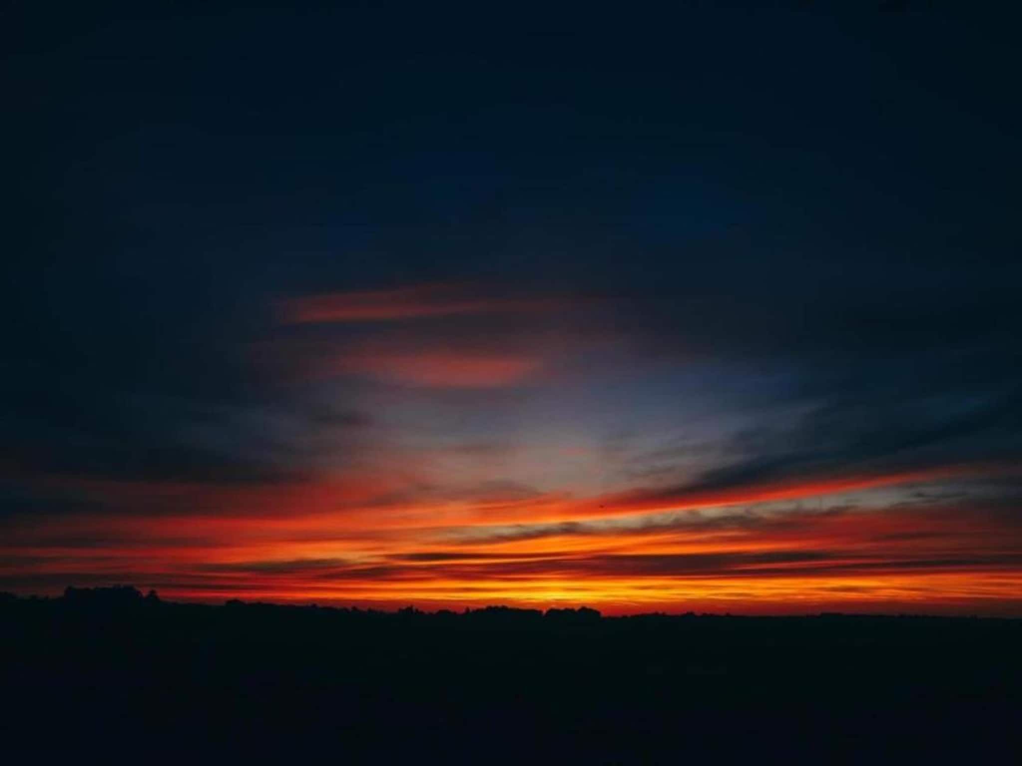 De omgeving van Docklodge 34 in Delfstrahuizen