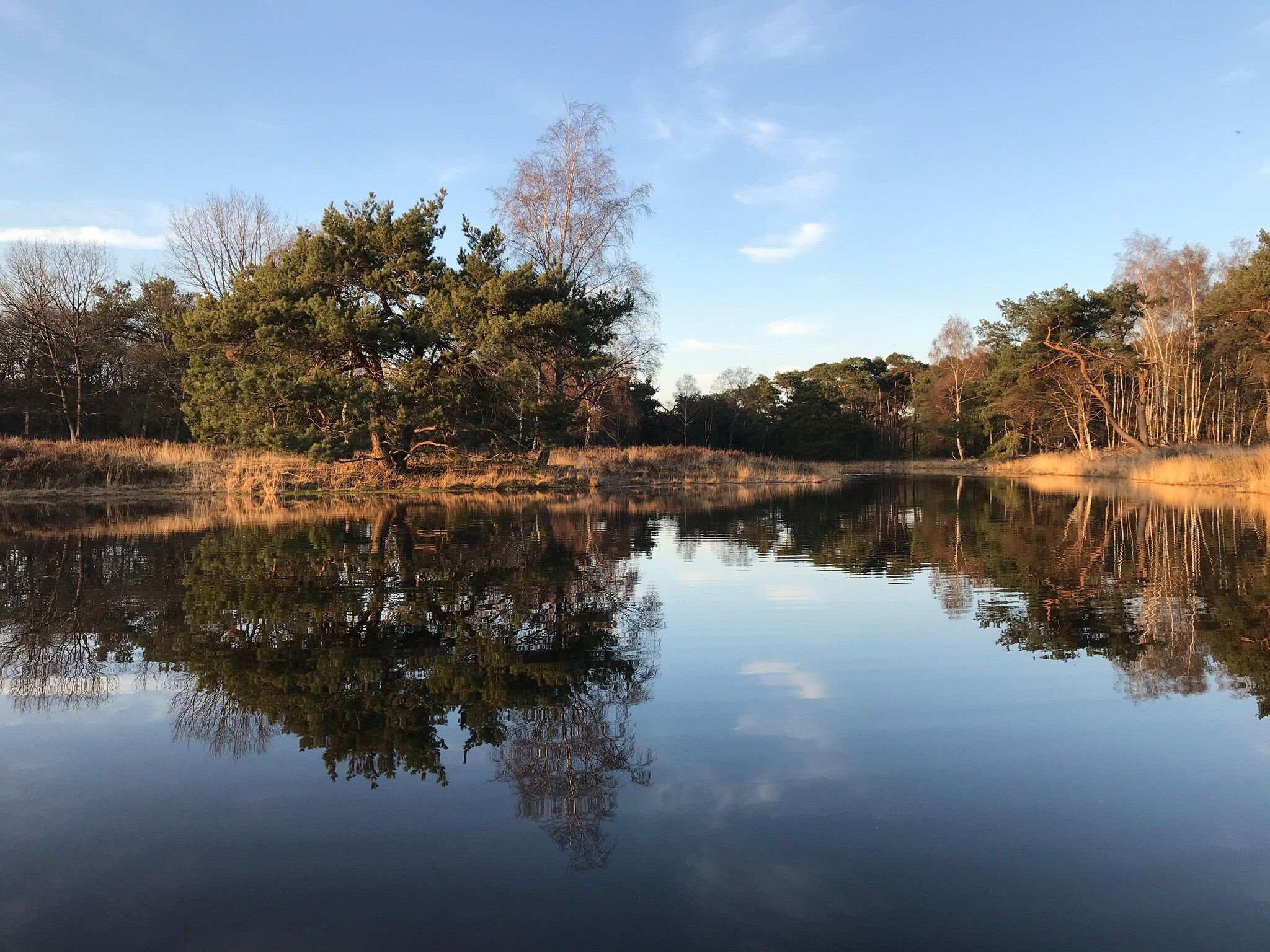 De omgeving van Dorpswoning Op Niveau 4 in Leende