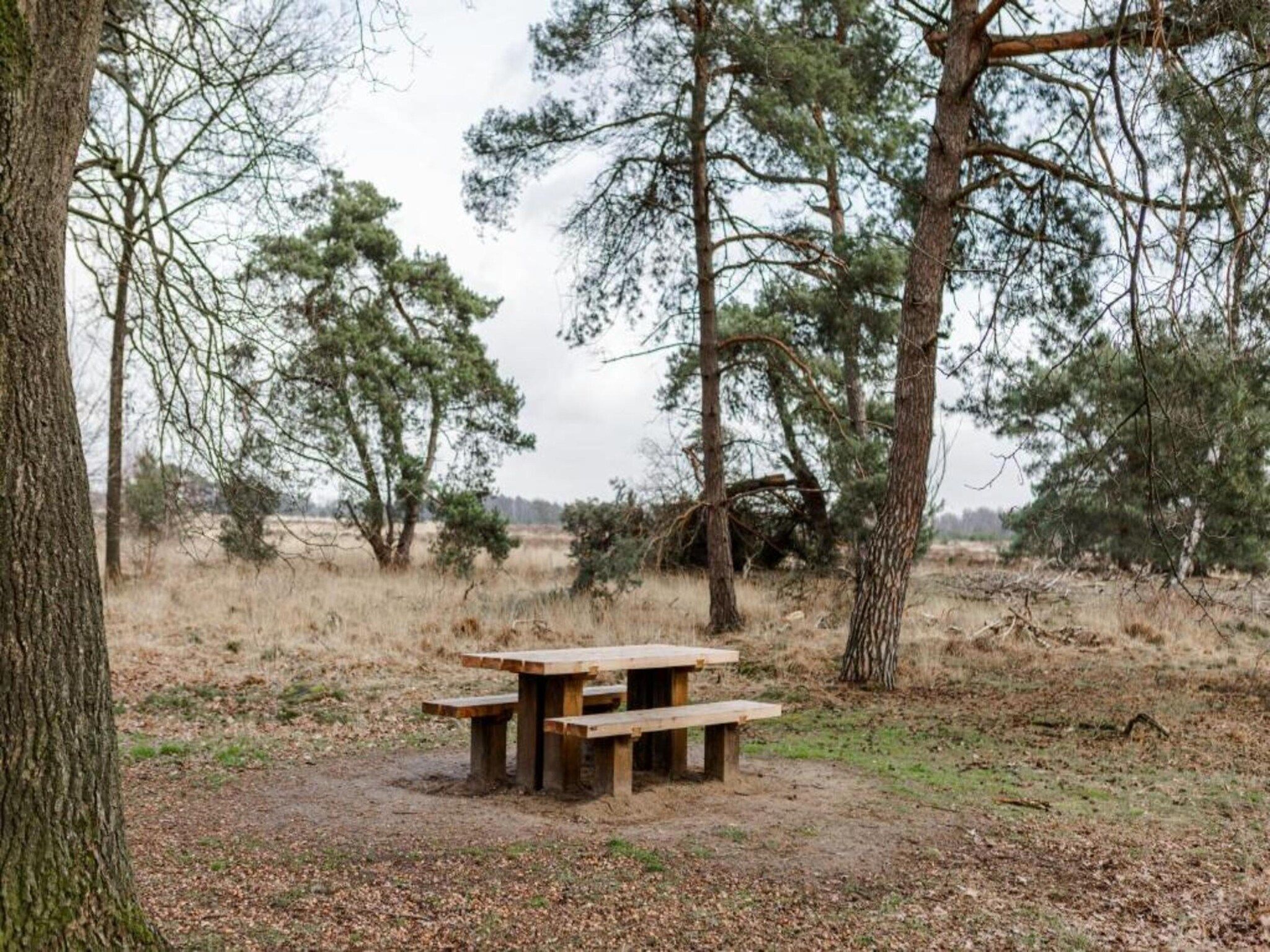 Dorpswoning Op Niveau 4 in Leende - Foto 31 van 38