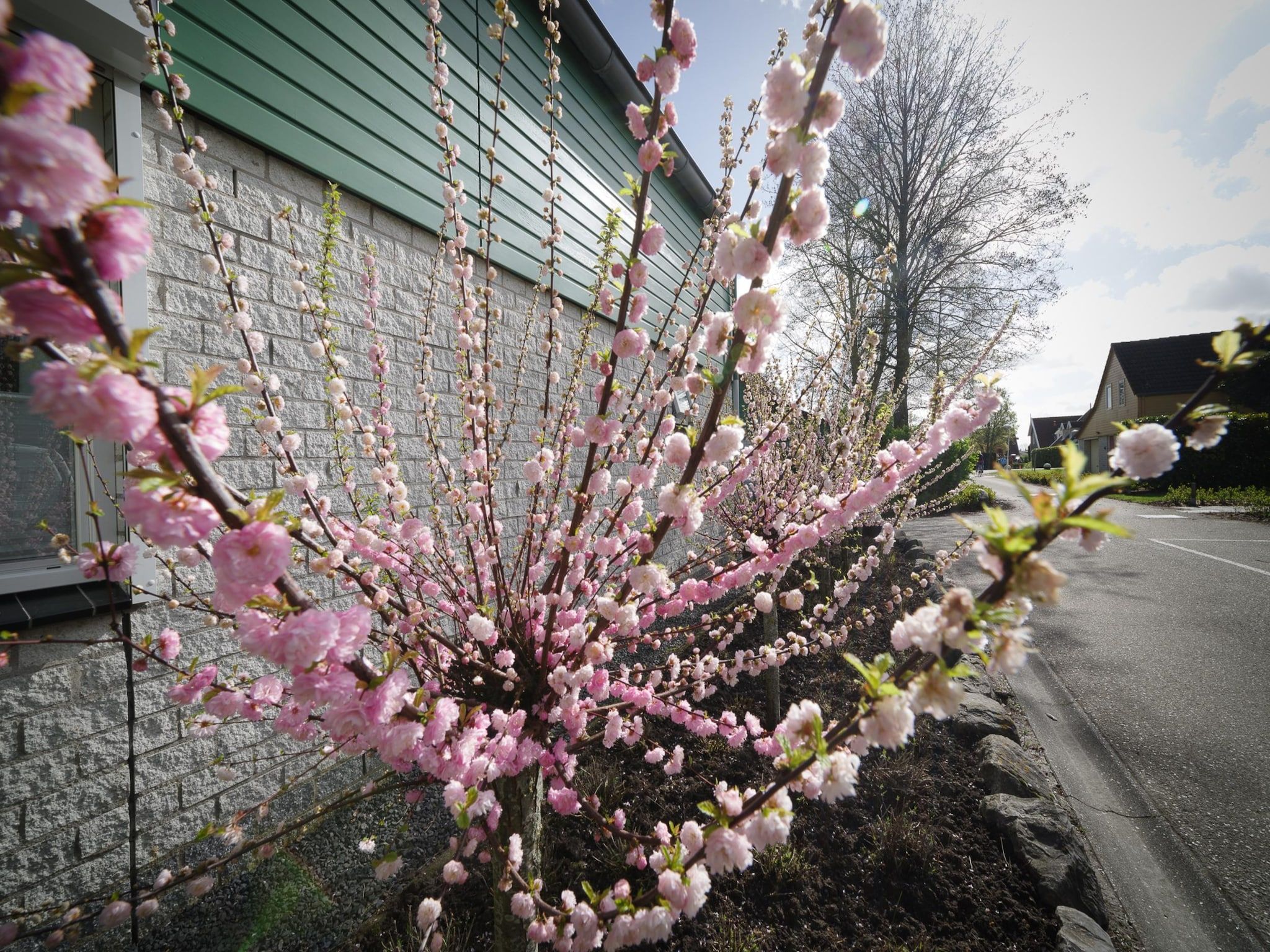 Sfeerbeeld van Villapark De Oesterbaai 75 in Wemeldinge