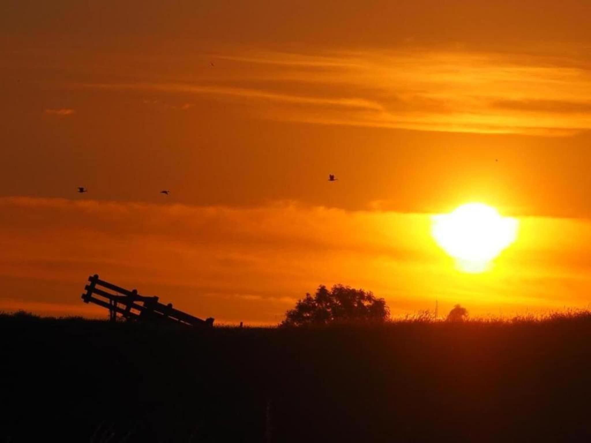 Standaard 329 in Simonshaven - Foto 30 van 37