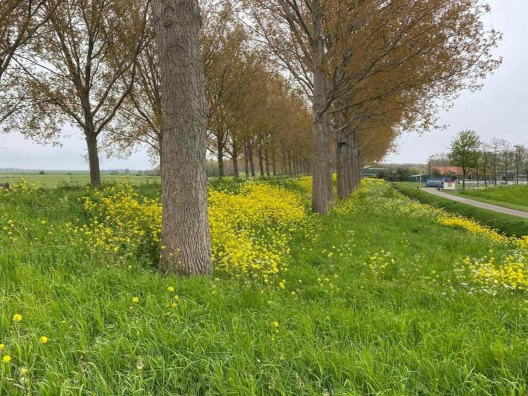 Standaard 211 in Simonshaven - Foto 30 van 35