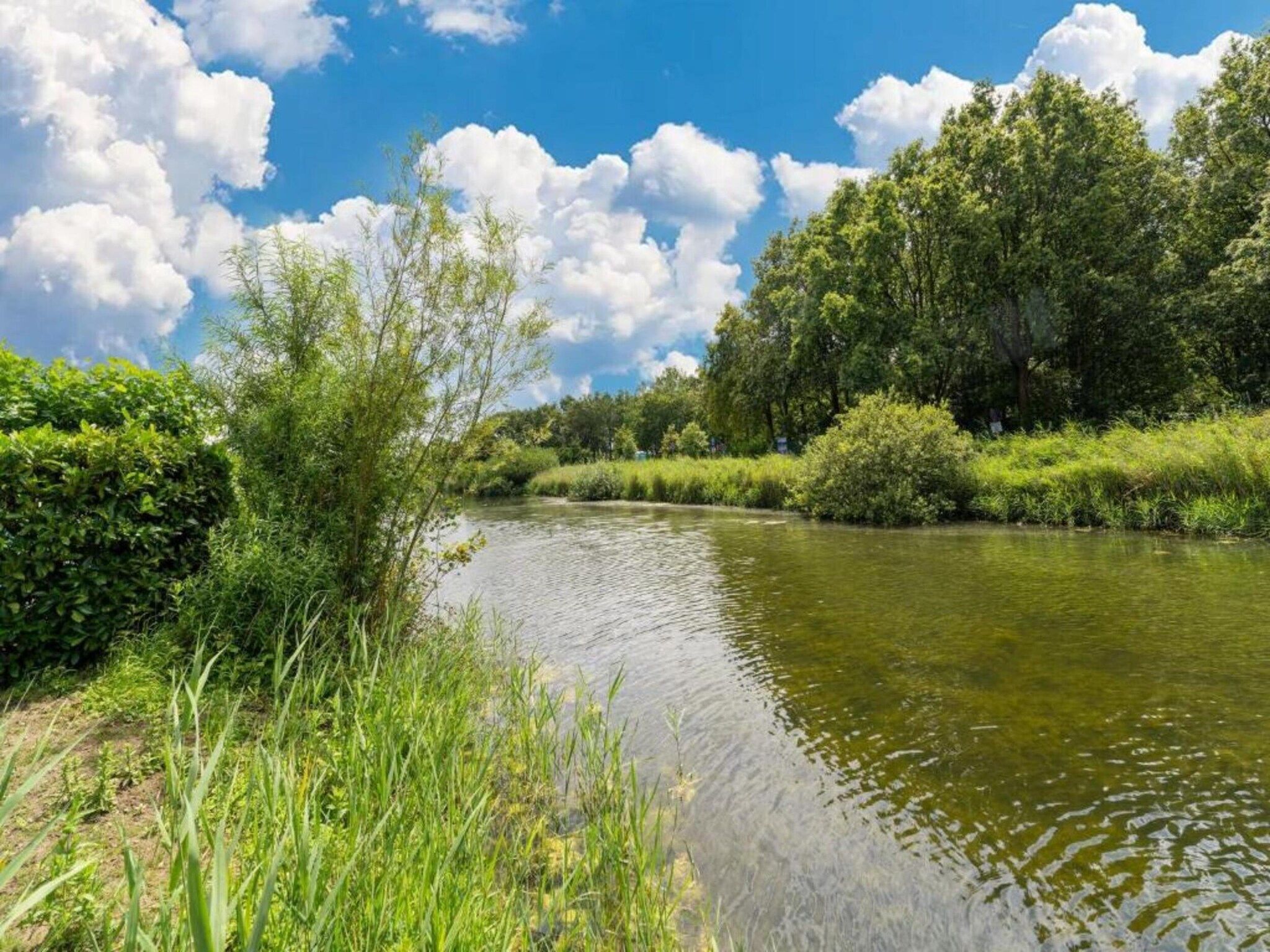 Standaard 213 in Simonshaven - Foto 11 van 33