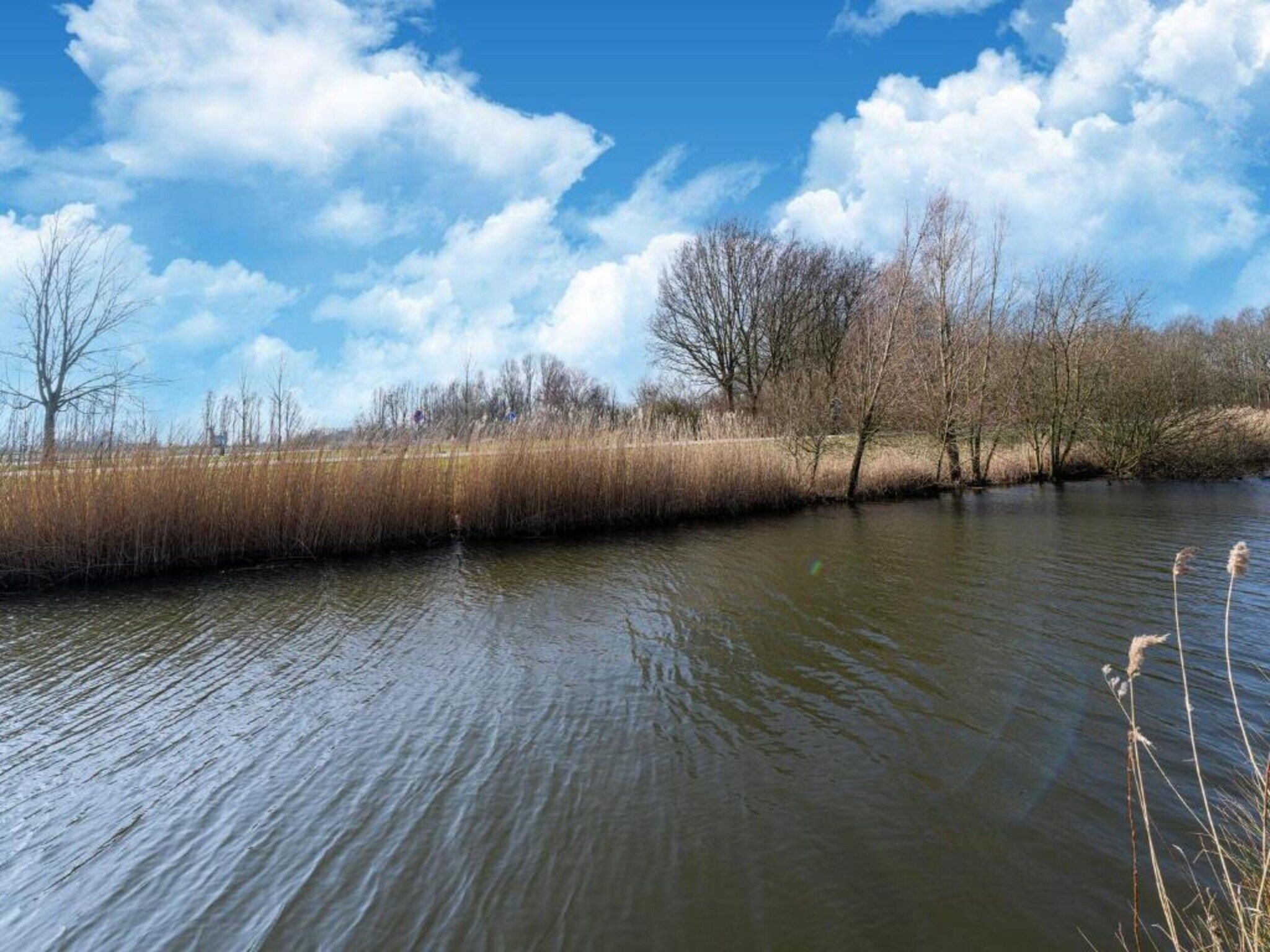 Standaard 308 in Simonshaven - Foto 30 van 39