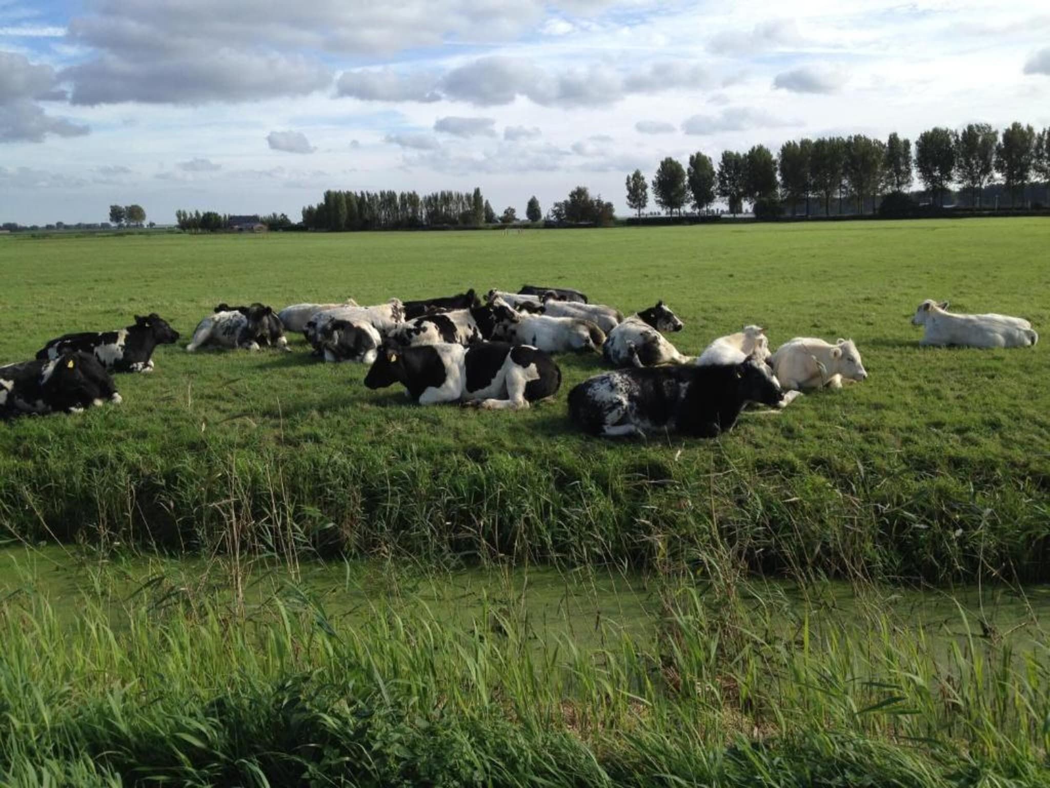 Standaard 224 in Simonshaven - Foto 33 van 38