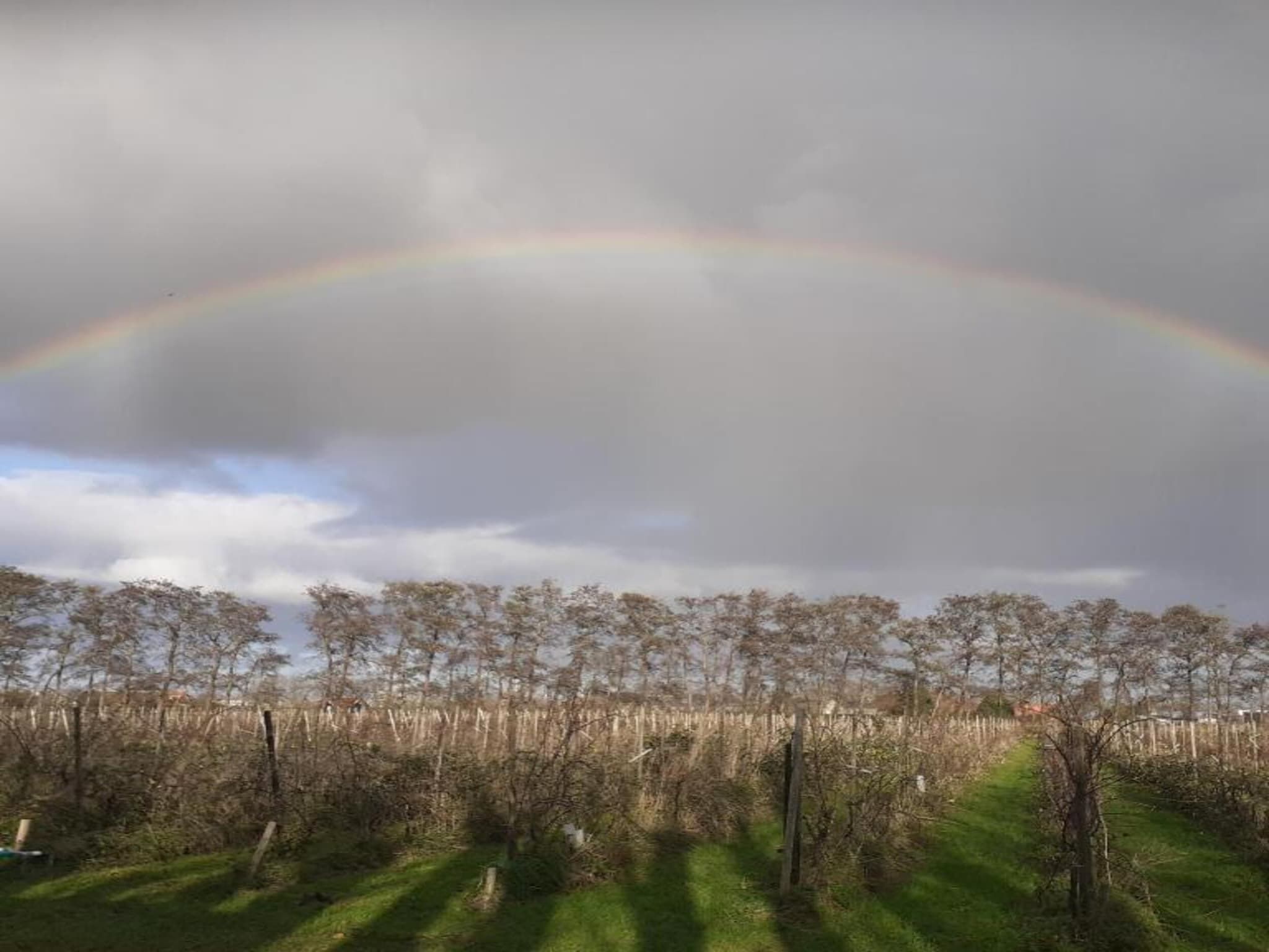 Standaard 224 in Simonshaven - Foto 28 van 35