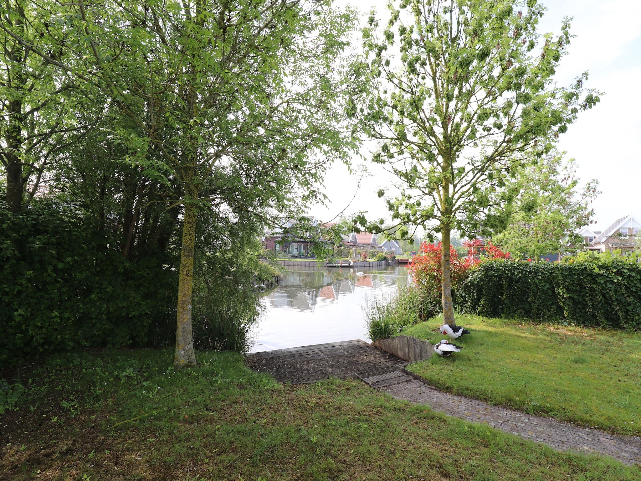 De tuin van Standaard 224 in Simonshaven