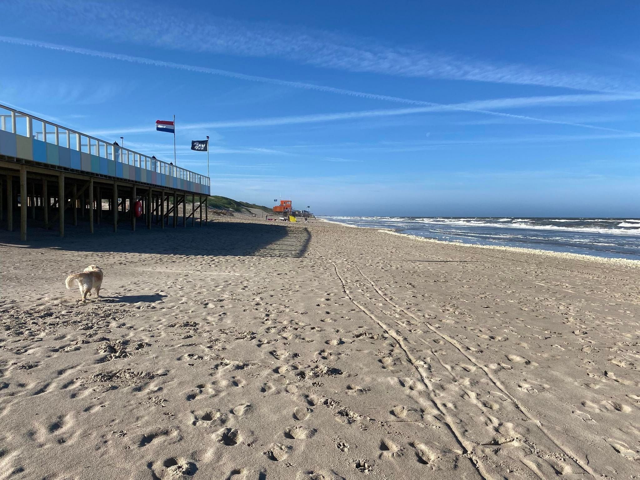 De omgeving van Beach Appartement 28 in Callantsoog