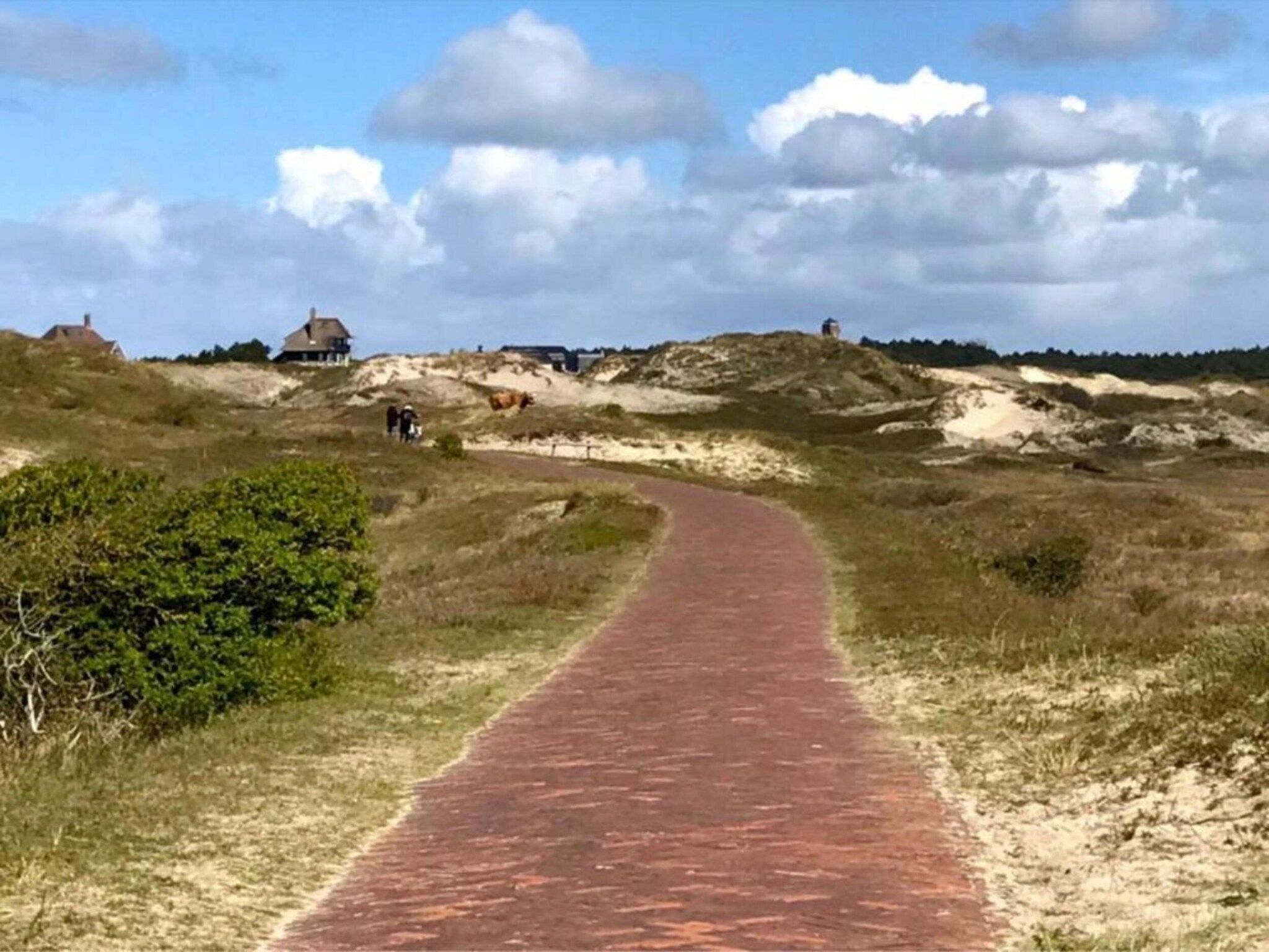 De Veldwachter in 't Zand - Foto 38 van 40