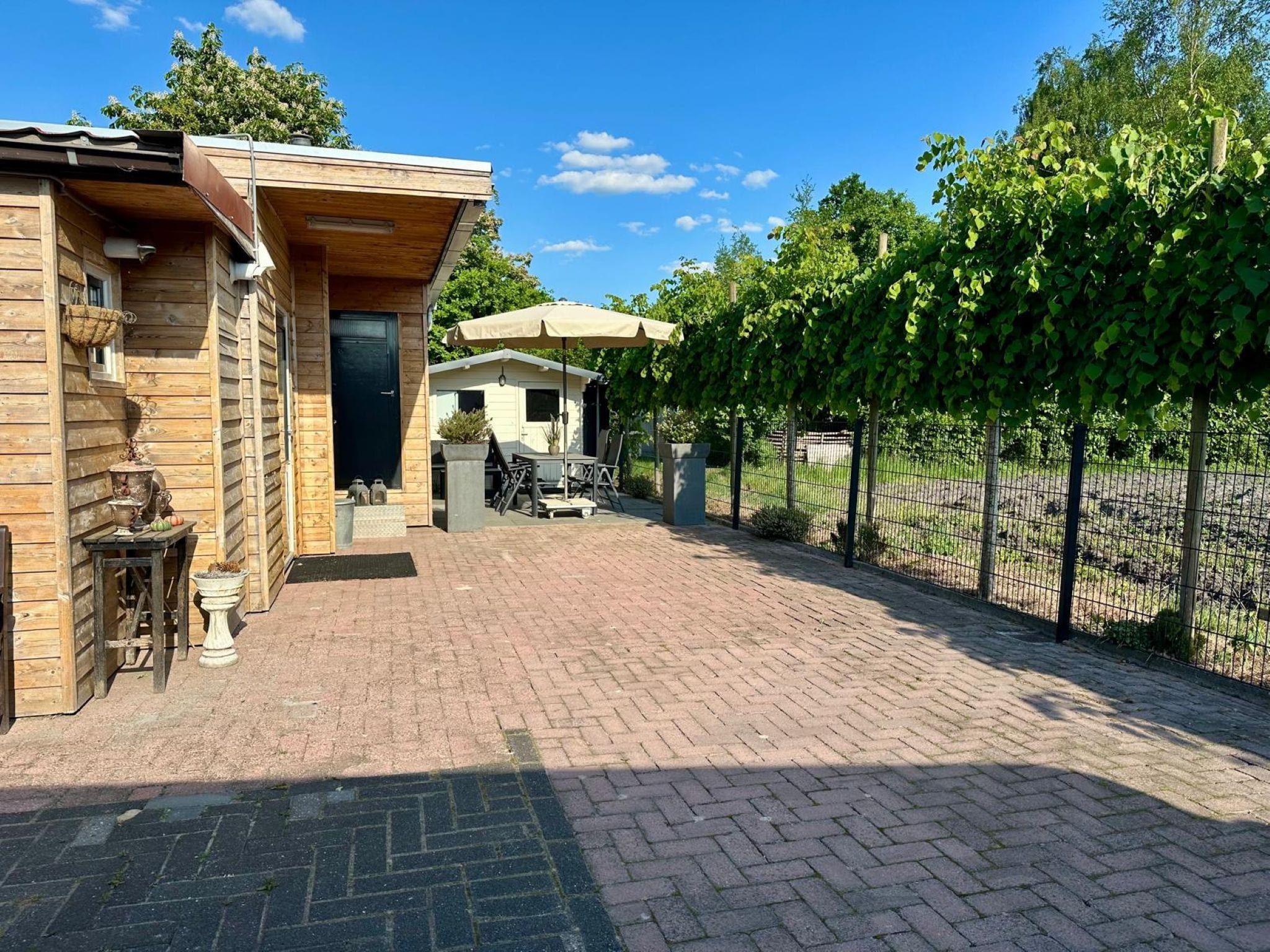 De tuin van Okken House 3A in Elim