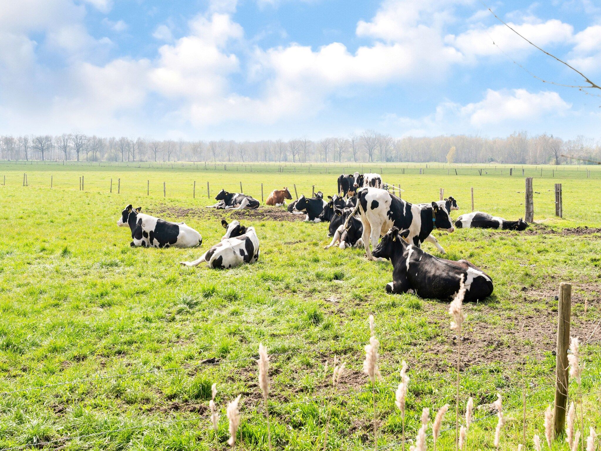 Okken House 3A in Elim - Foto 16 van 37