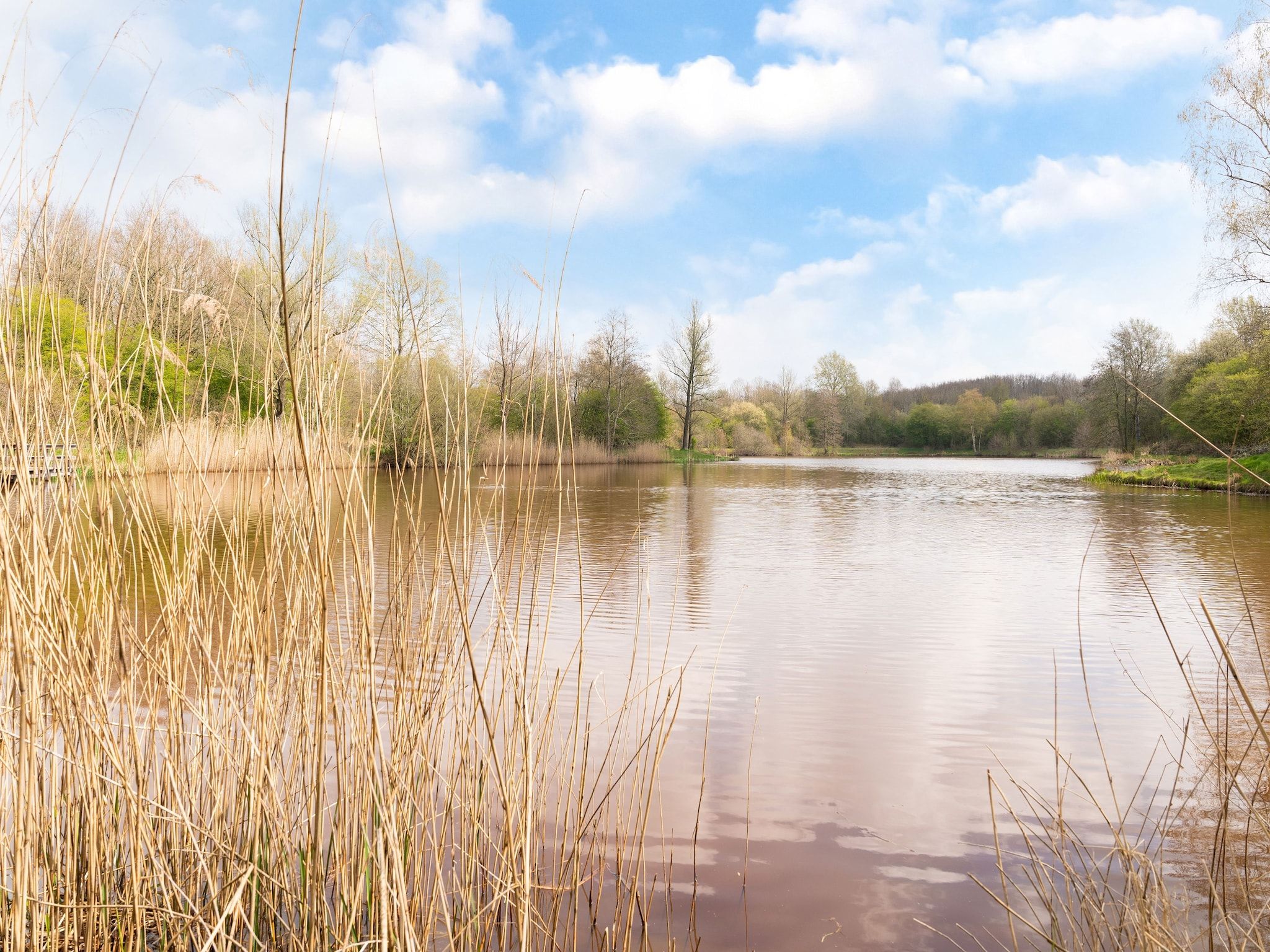 Okken House 3A in Elim - Foto 24 van 37