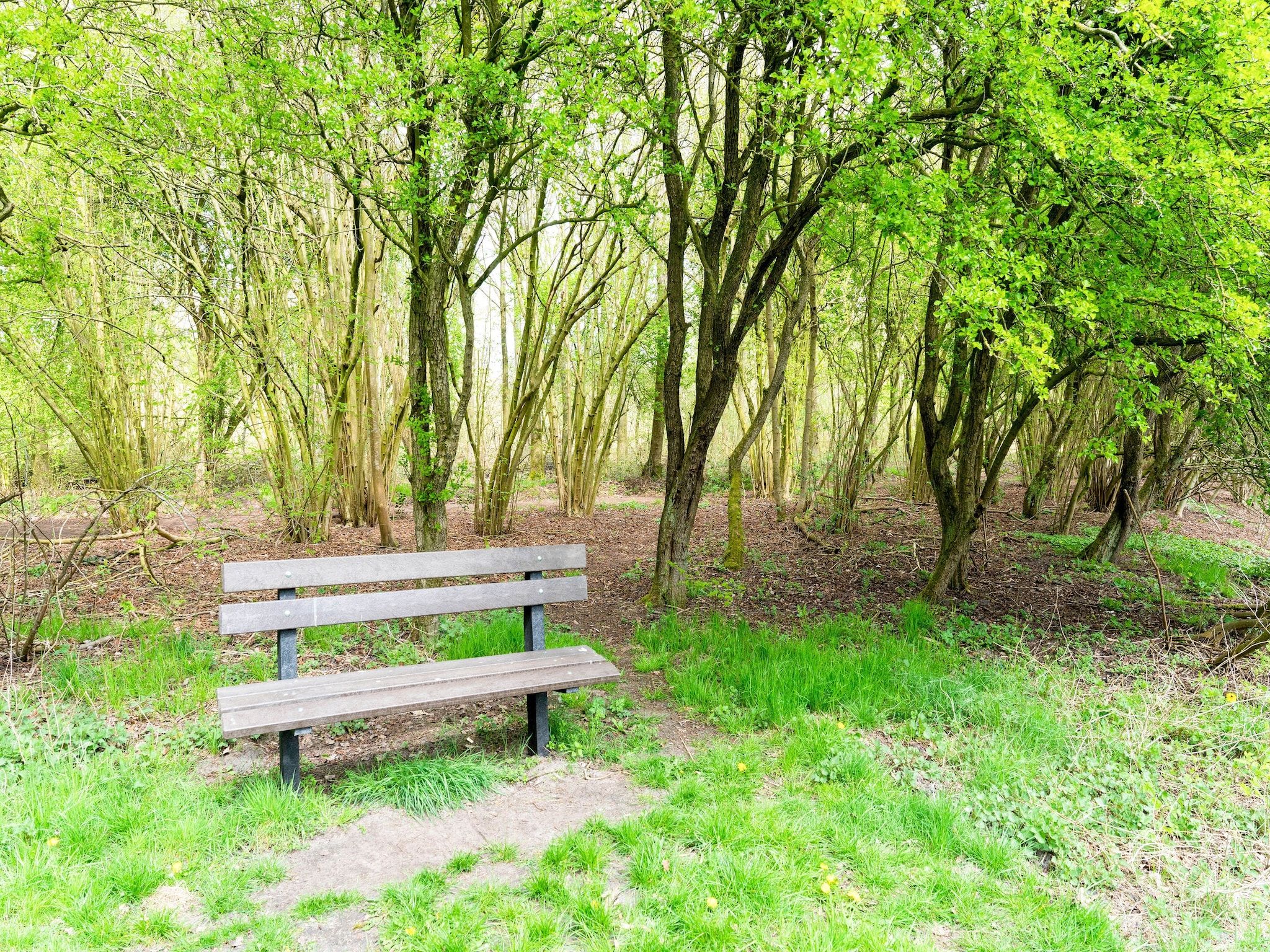 De omgeving van Okken House 3A in Elim