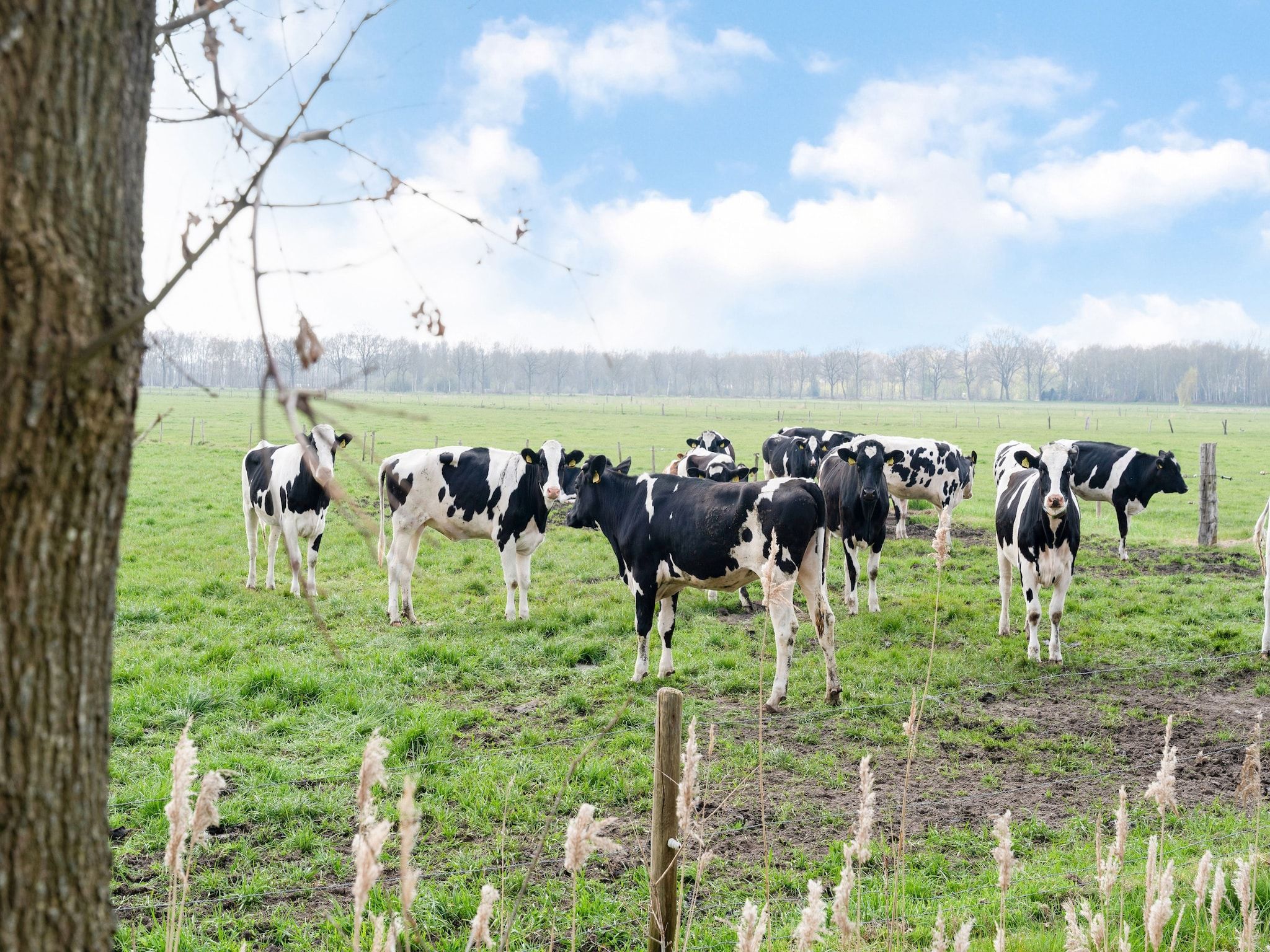 Okken House 3A in Elim - Foto 17 van 37