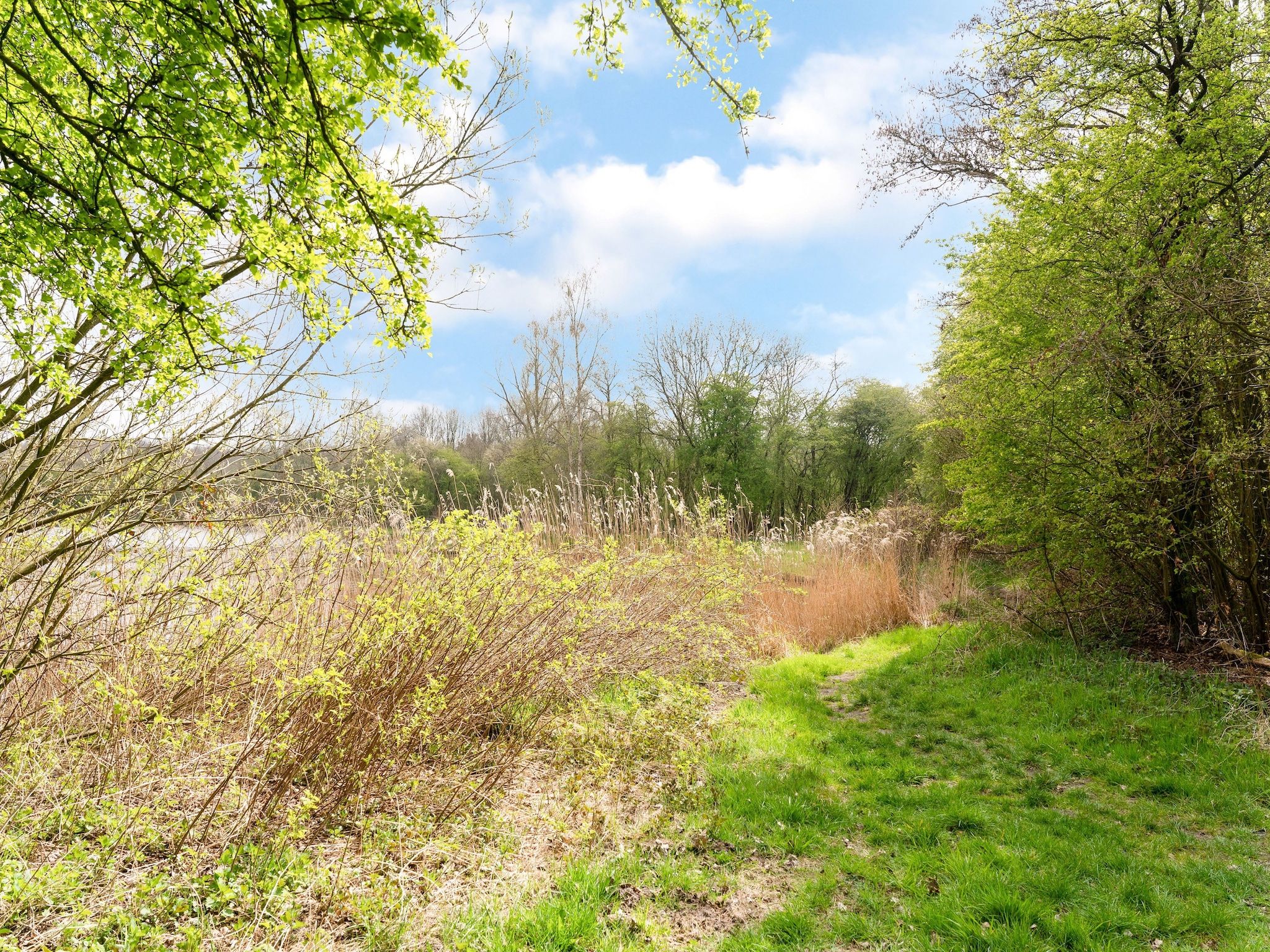 Okken House 3A in Elim - Foto 25 van 37