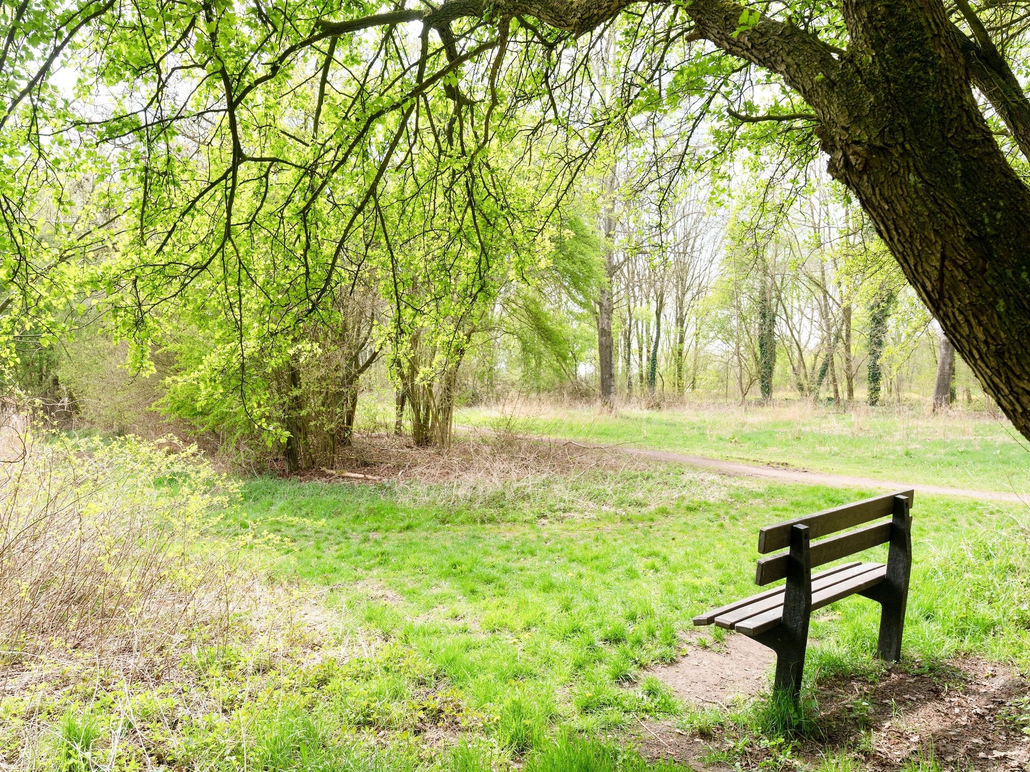 De omgeving van Okken House 3A in Elim