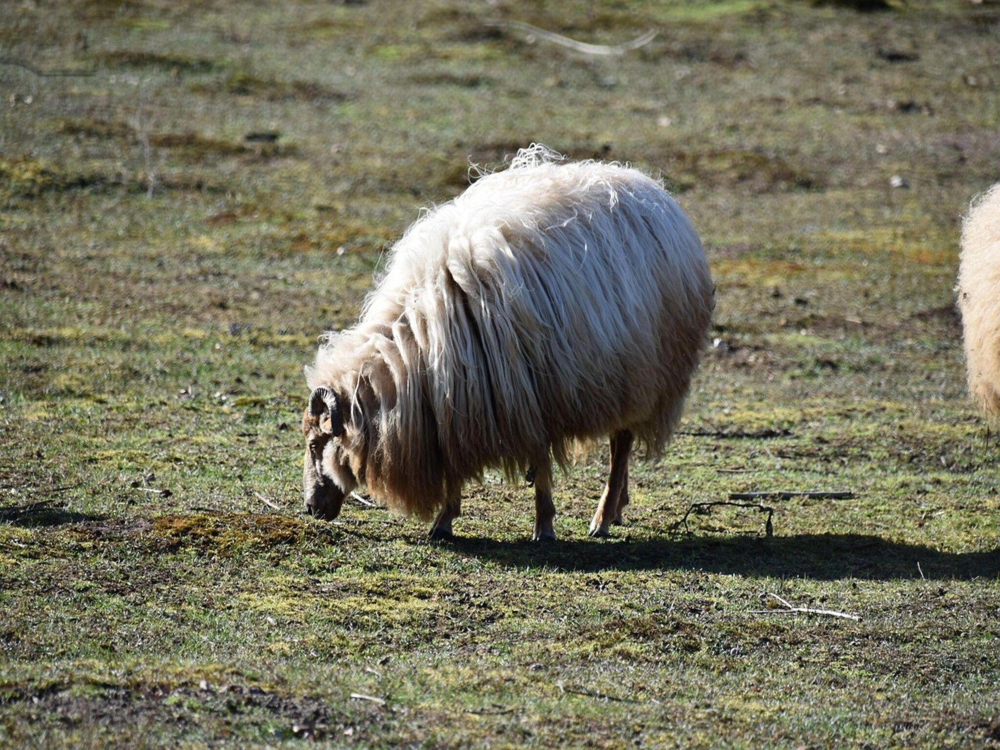 Okken House 3A in Elim - Foto 31 van 37