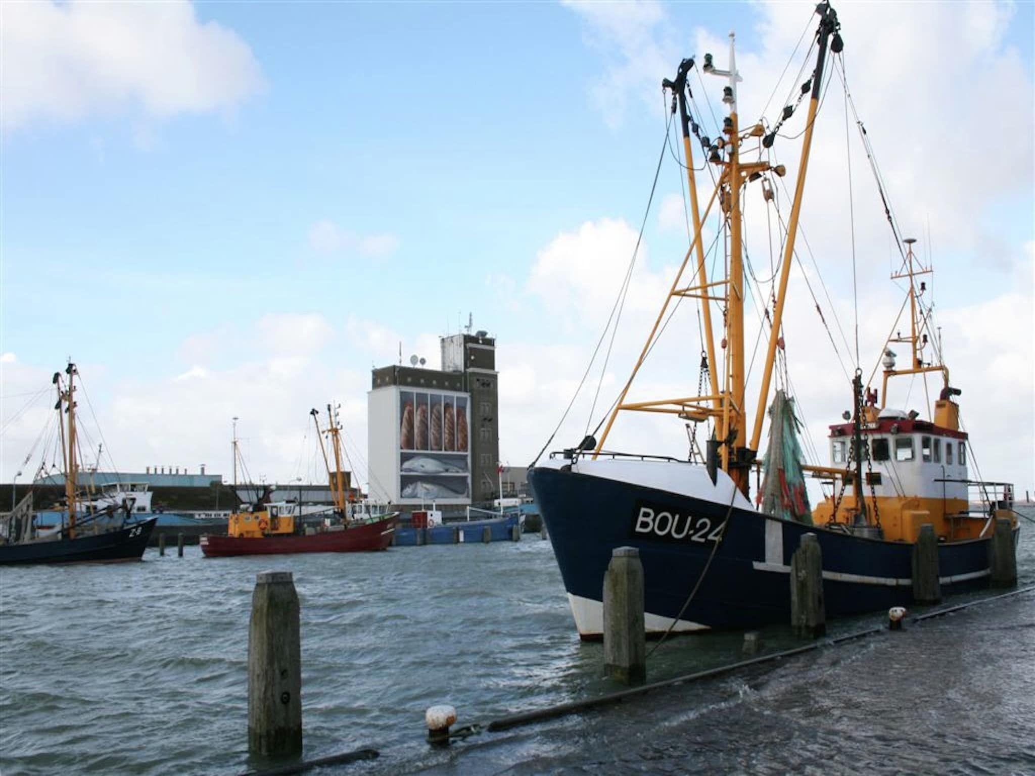 De omgeving van Het Platte Putje - Huisdier - nr 2 in Groede