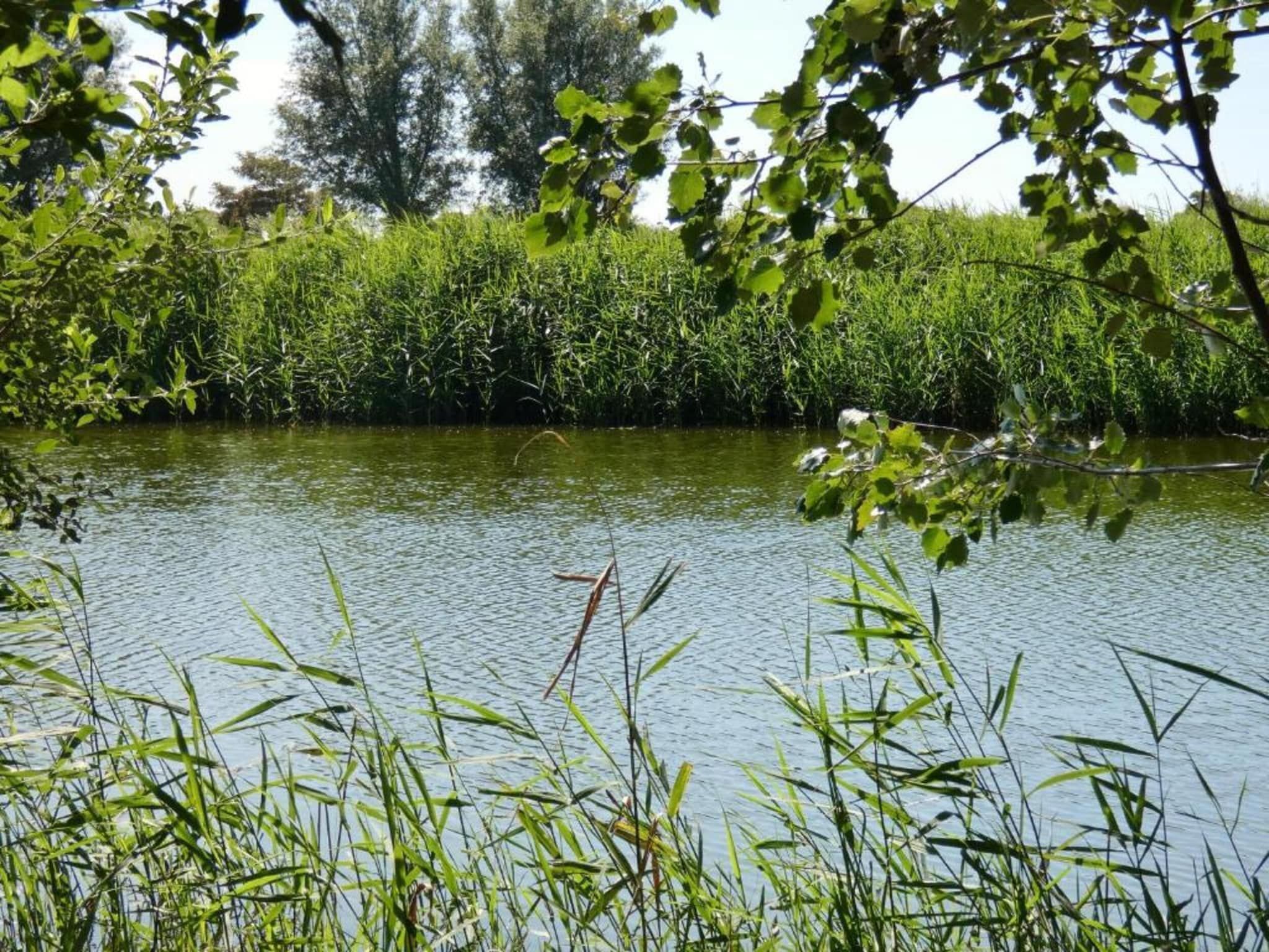 Het Platte Putje - Huisdier - nr 2 in Groede - Foto 35 van 36